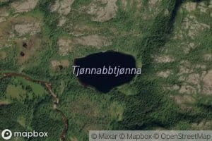 Tjornnabbtjerna