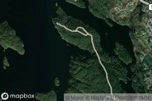 Ormevika