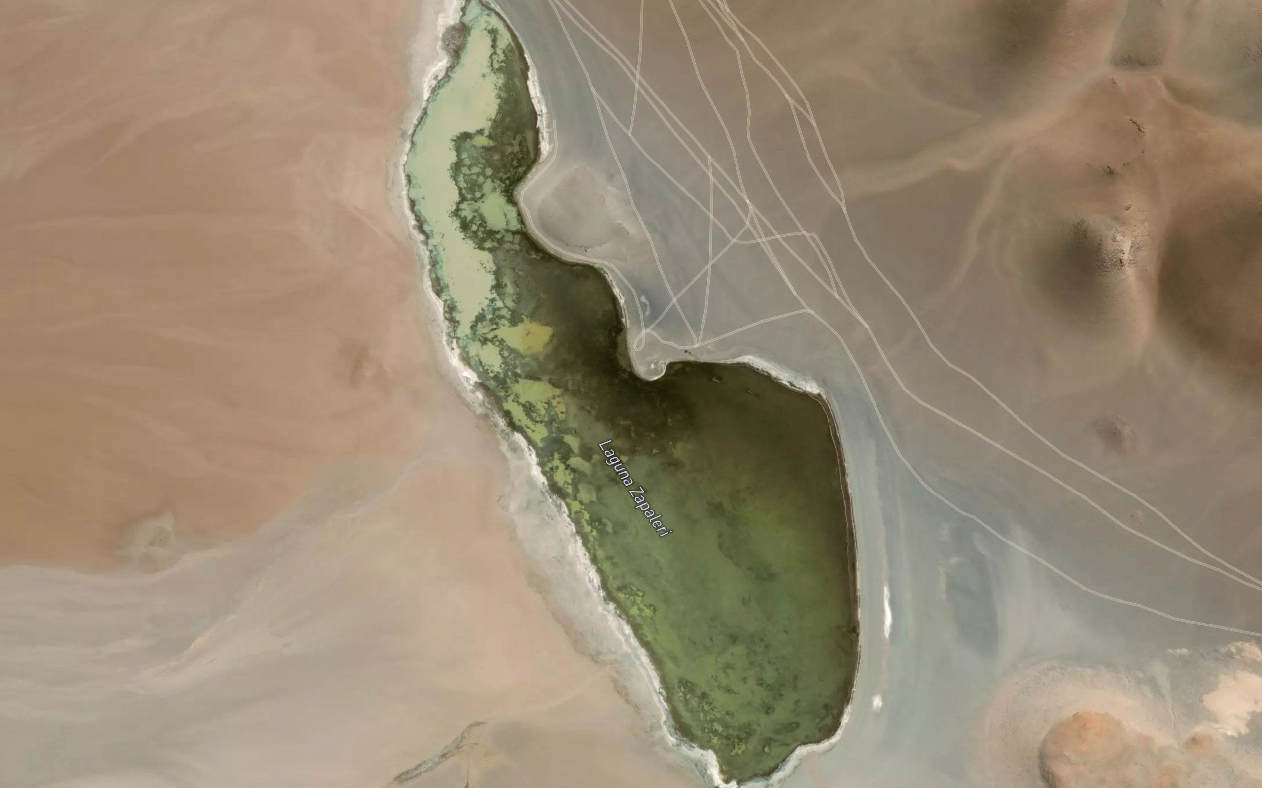 Laguna Zapaleri