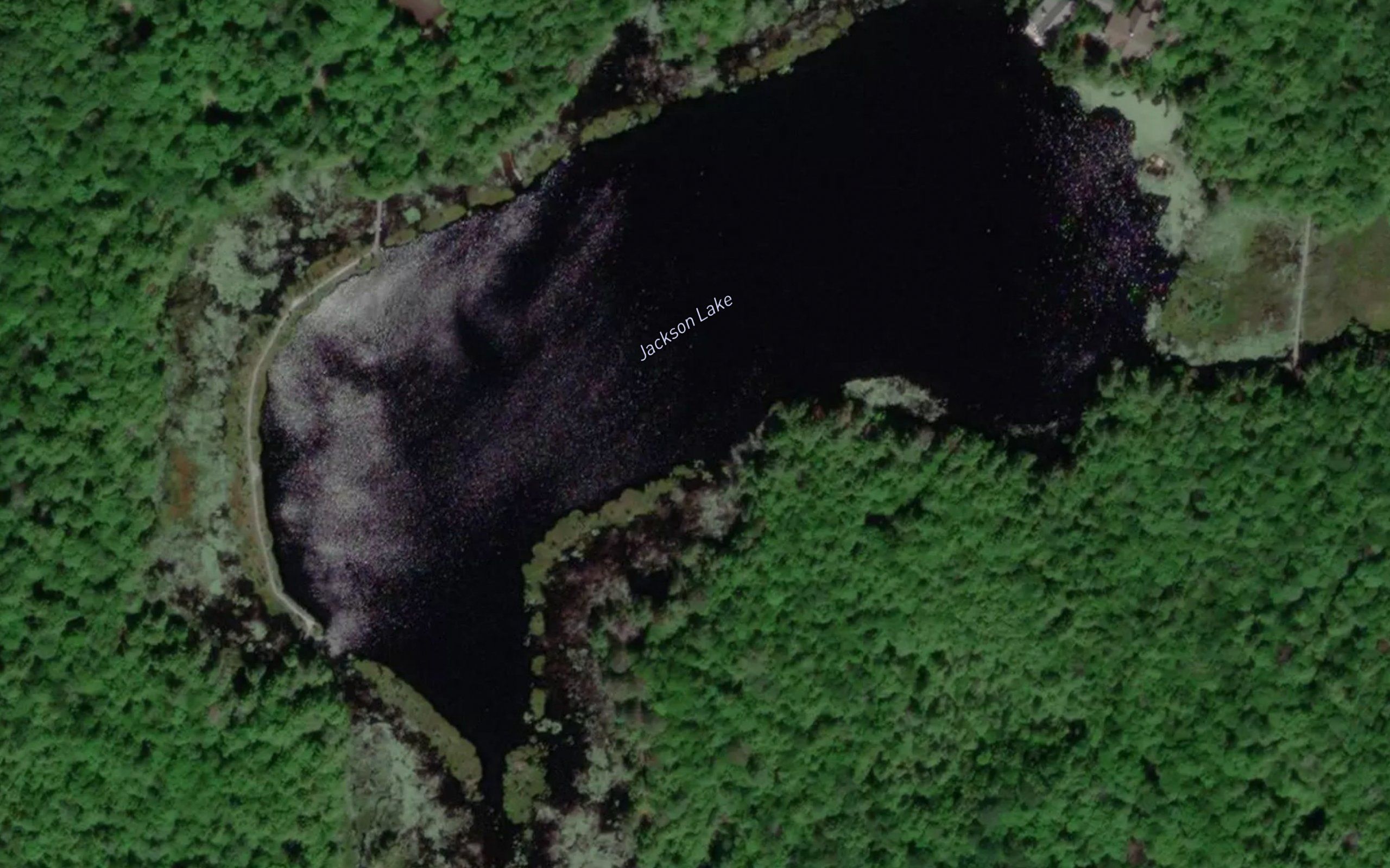 Jackson Lake