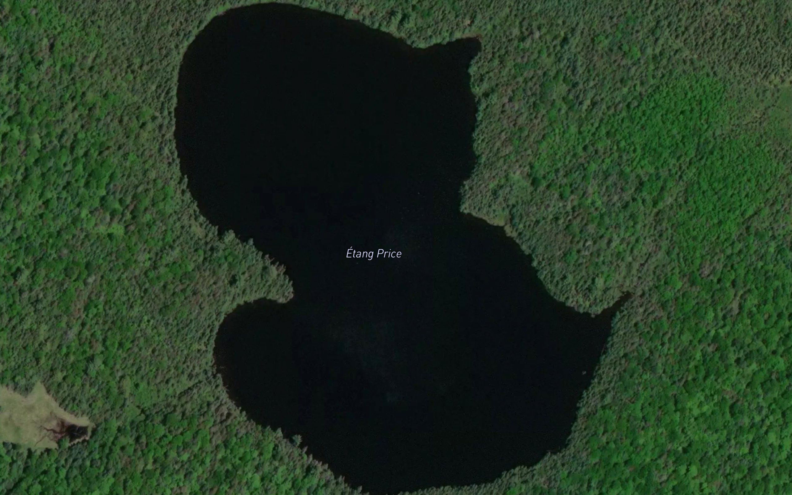 Etang Price