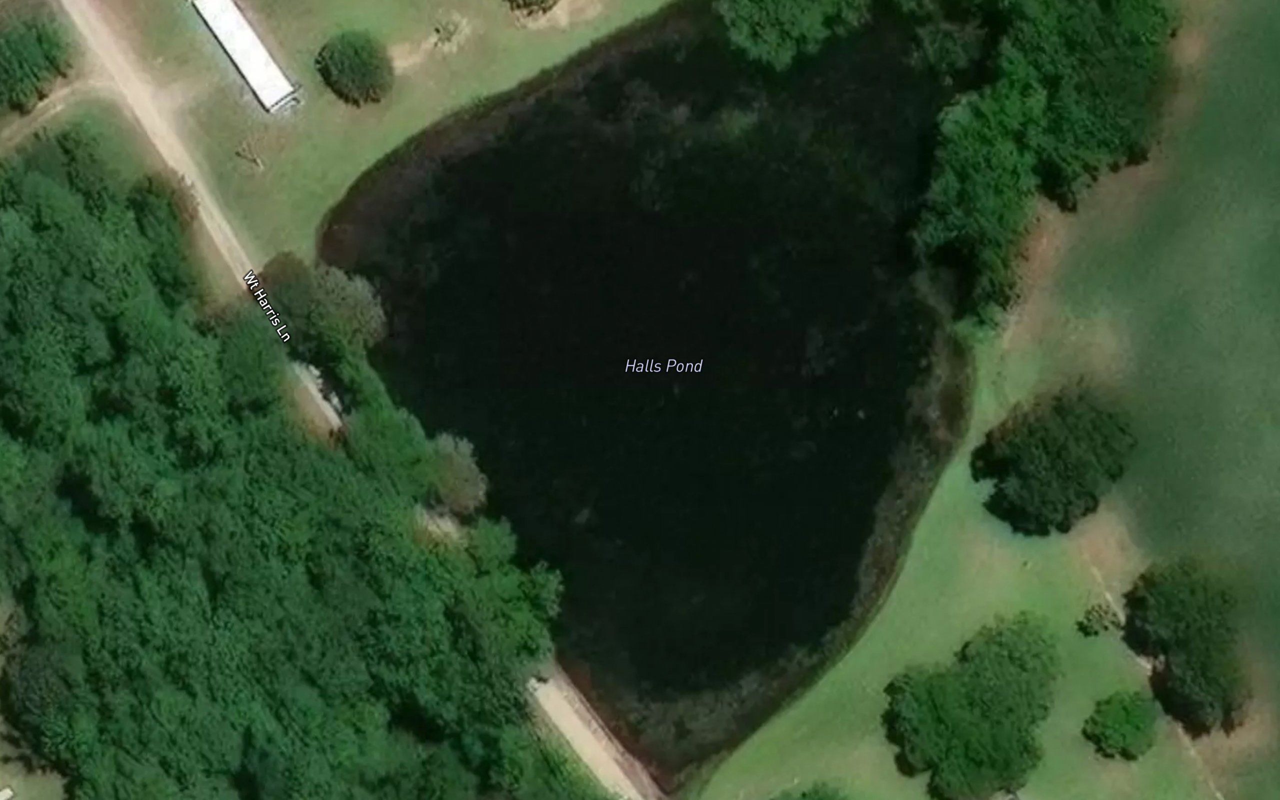 Halls Pond