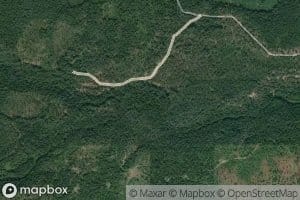 North Fork South Fork Tacoma Creek