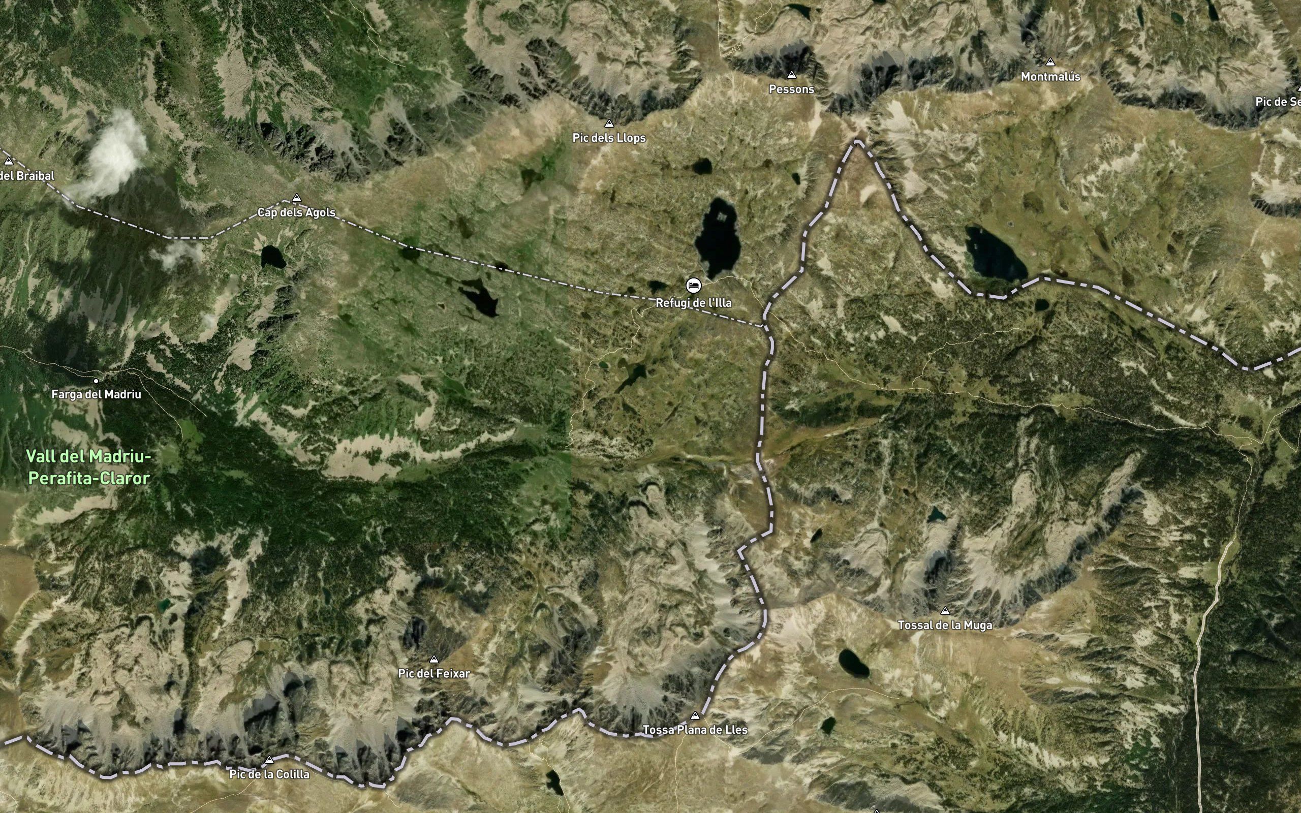 La Basseta