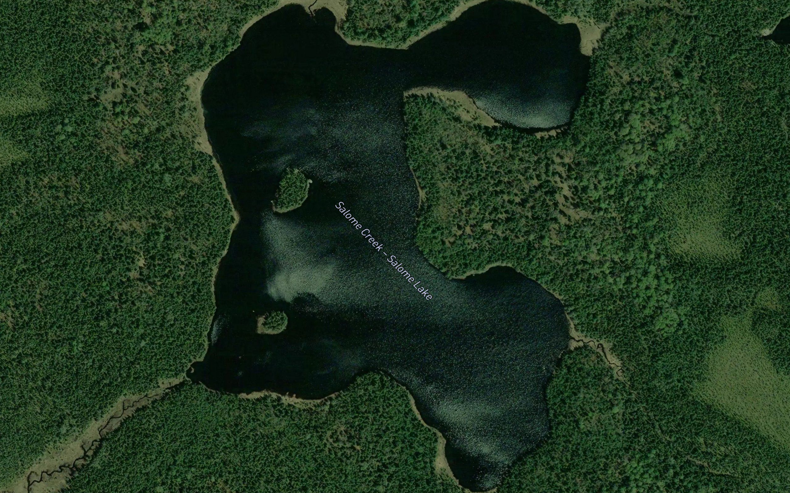Salome Lake