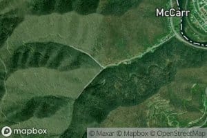 Right Fork Coon Branch