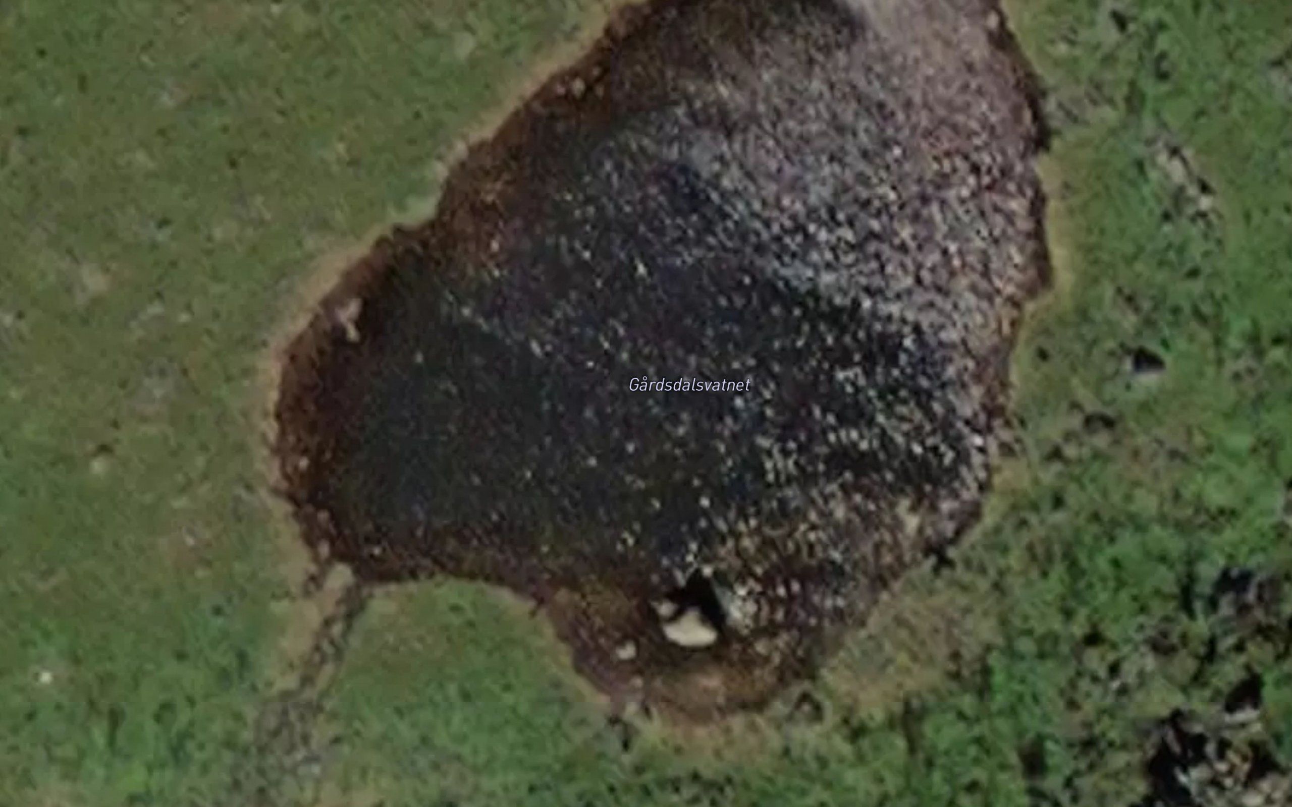 Gardsdalsvatnet