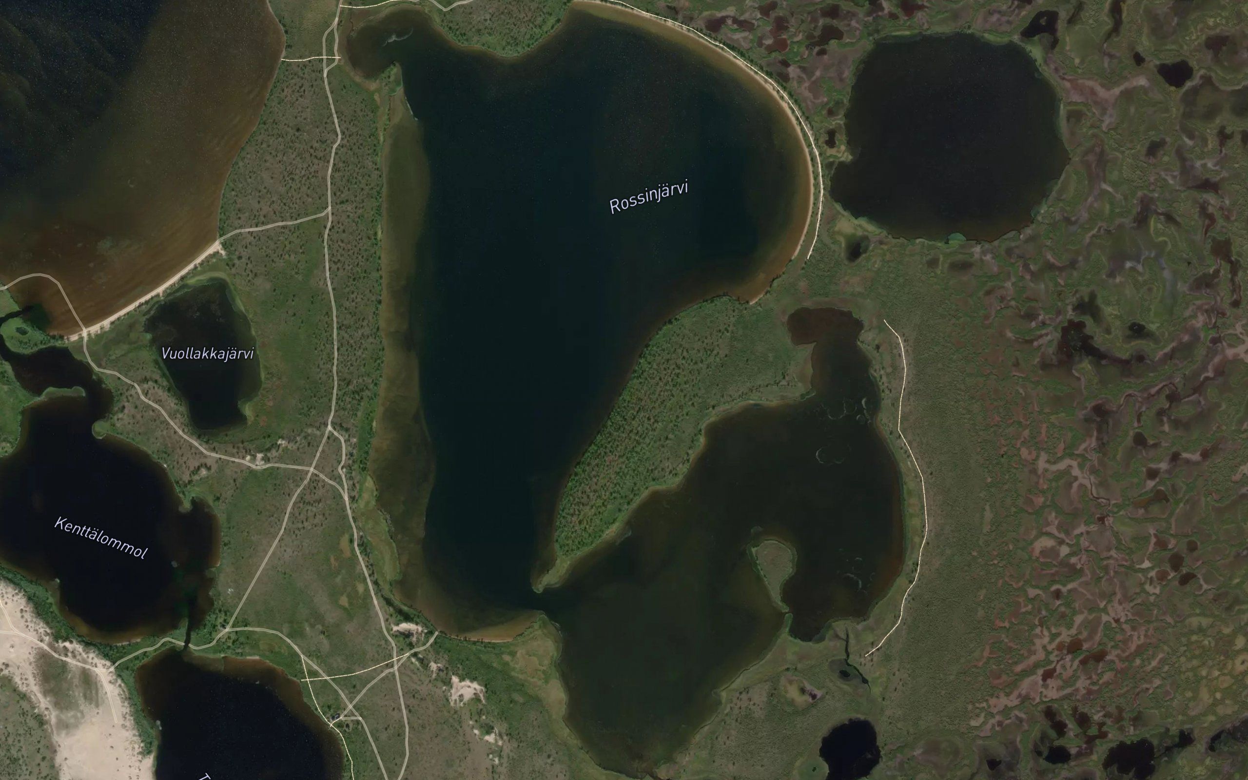 Roassijavri