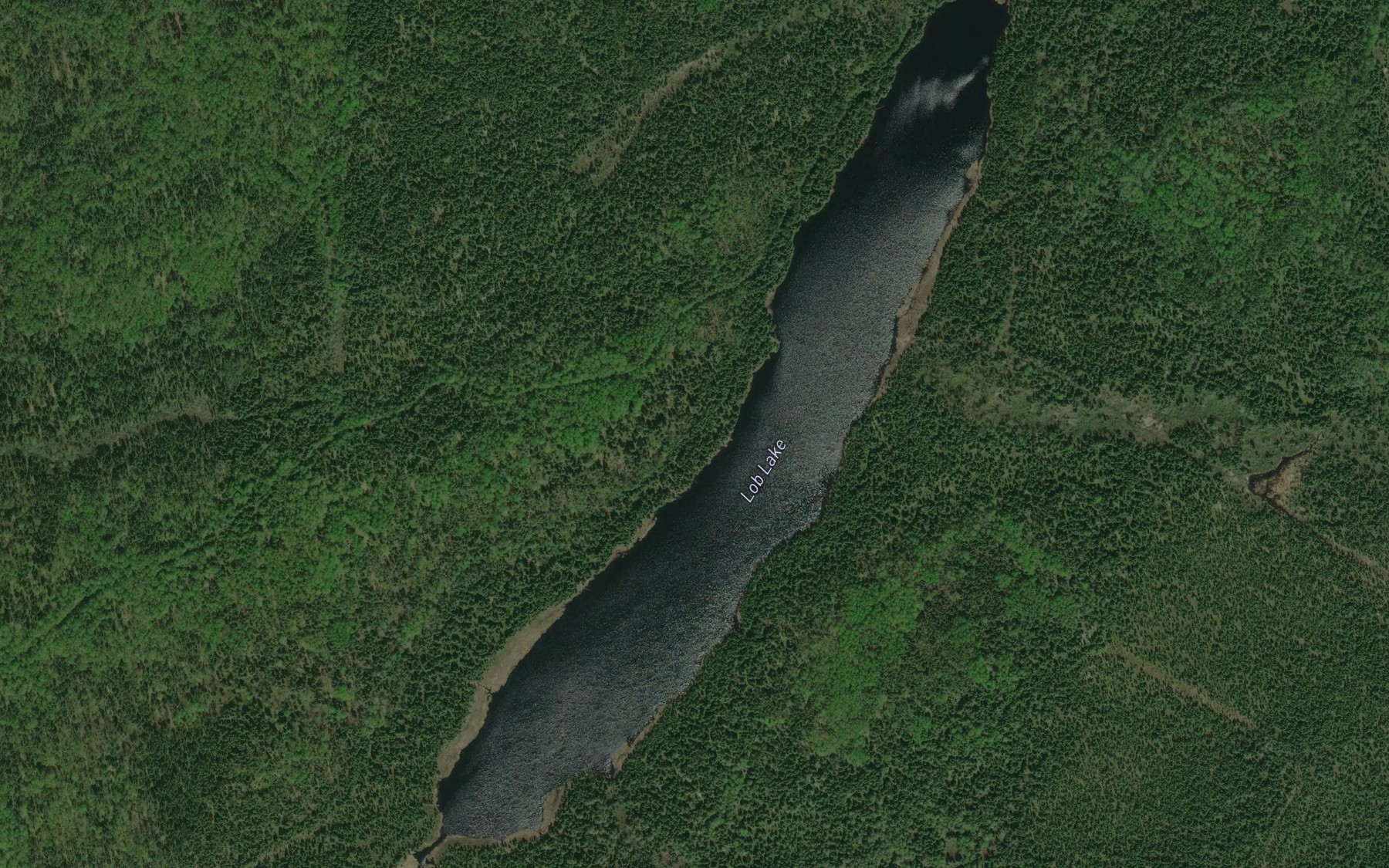 Satellite map of the Lob Lake