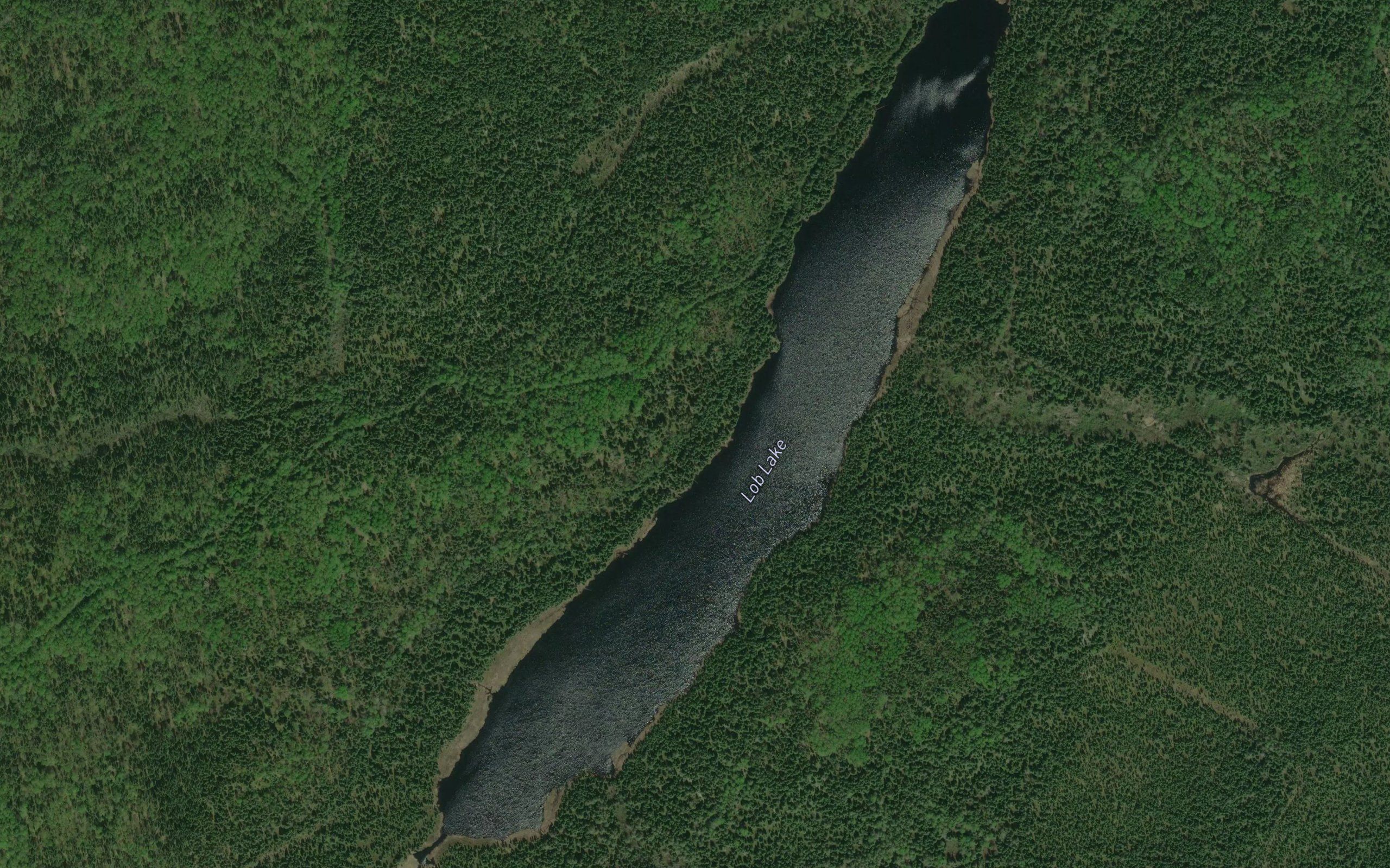 Lob Lake