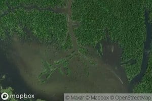 Bayou Fusilier of the Swamps