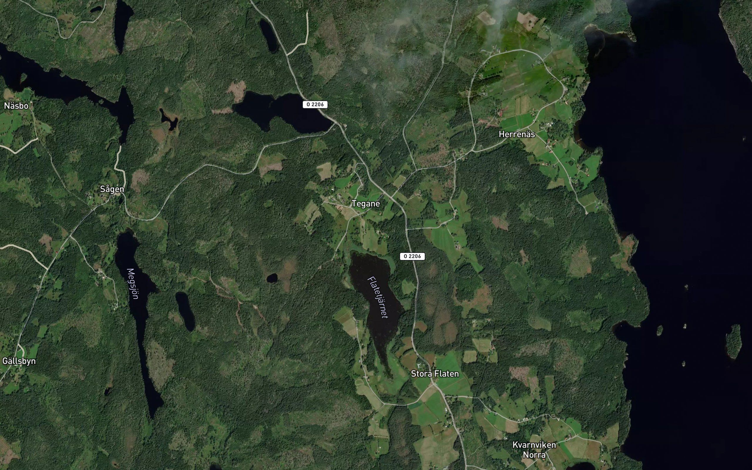 Flatetjarn