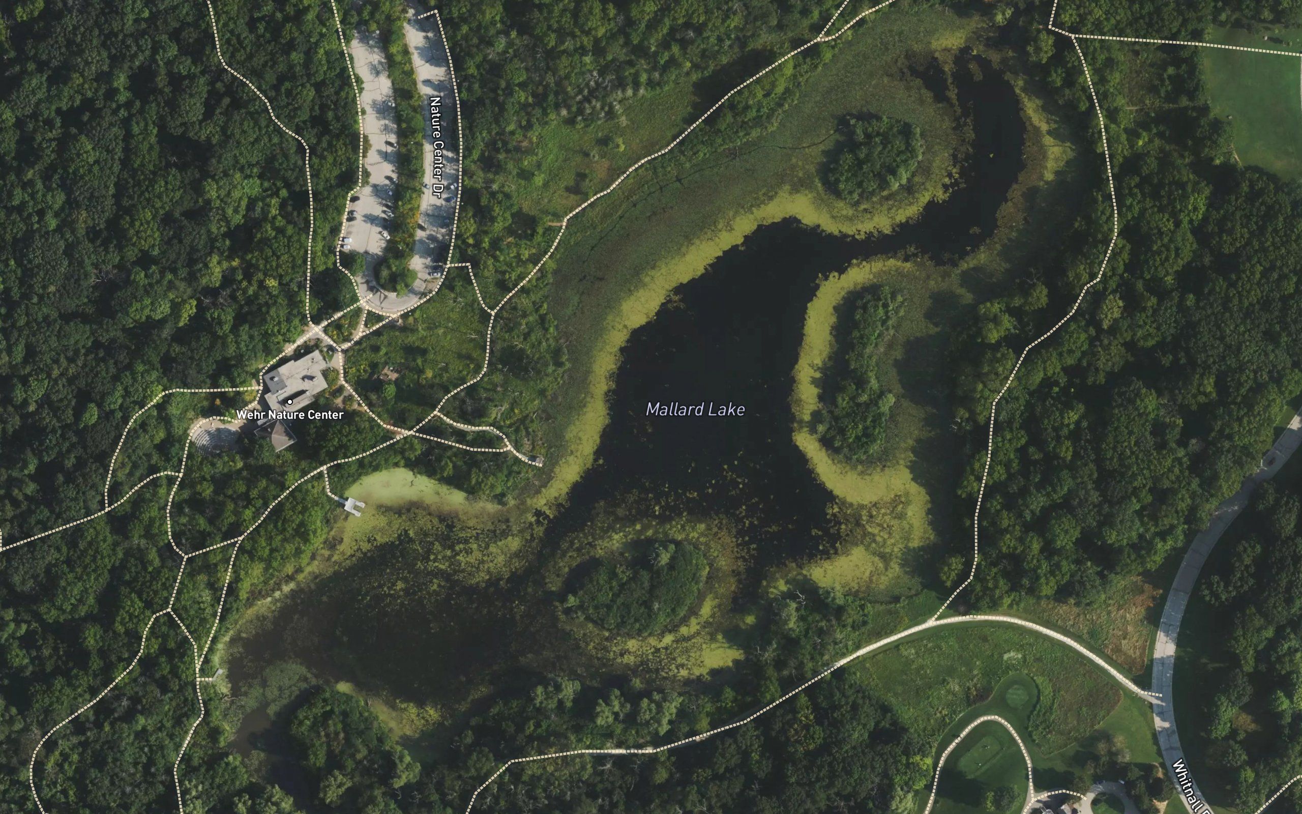 Whitnall Park Pond