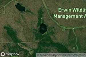 Erwin Pond