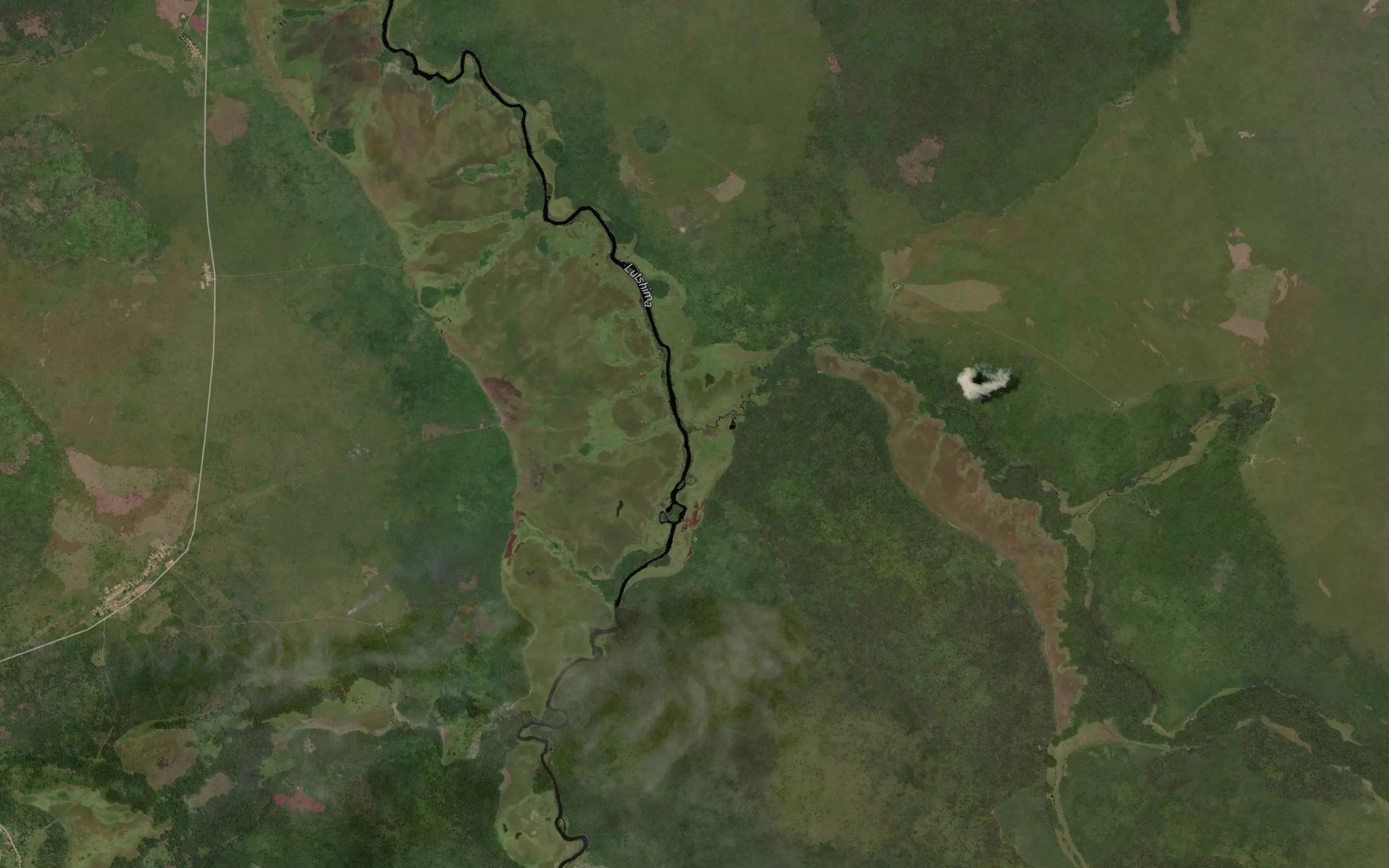 Kalombi