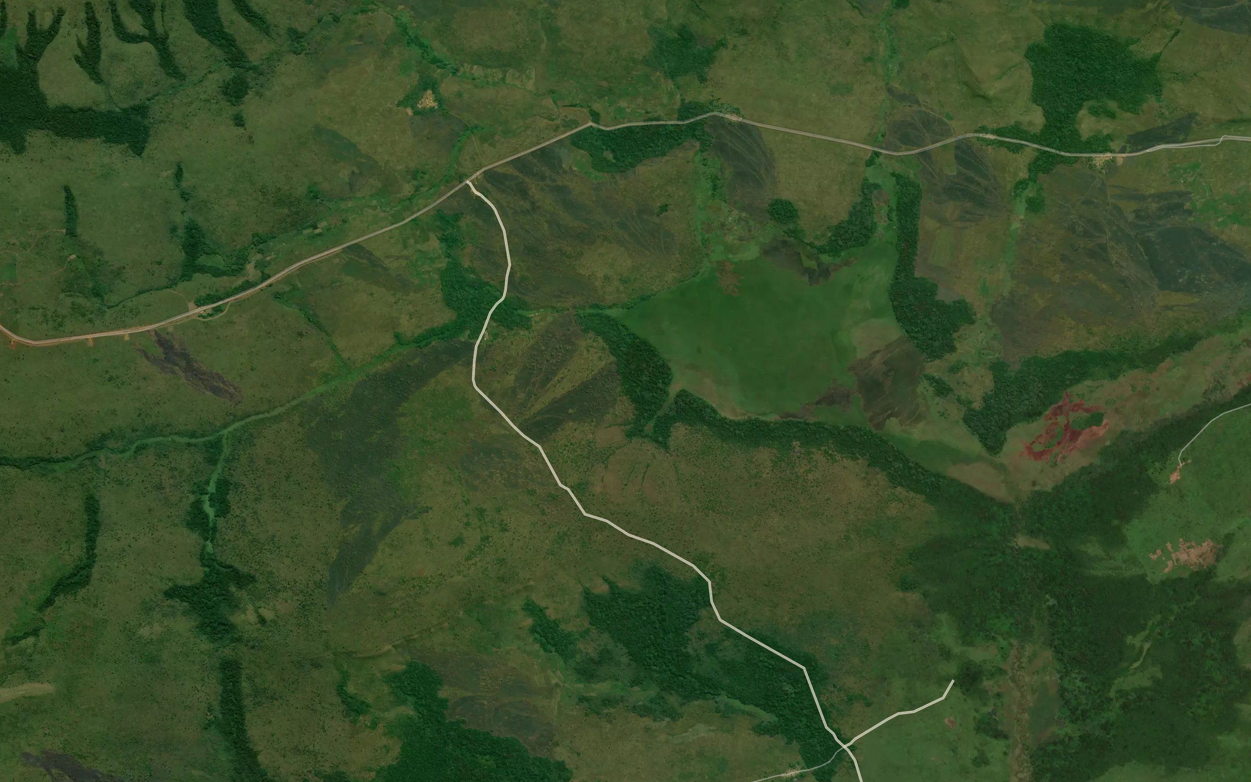 Camongua