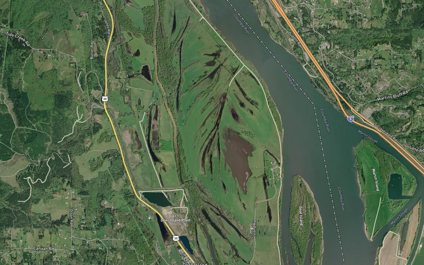 Satellite map of the Swan Lake
