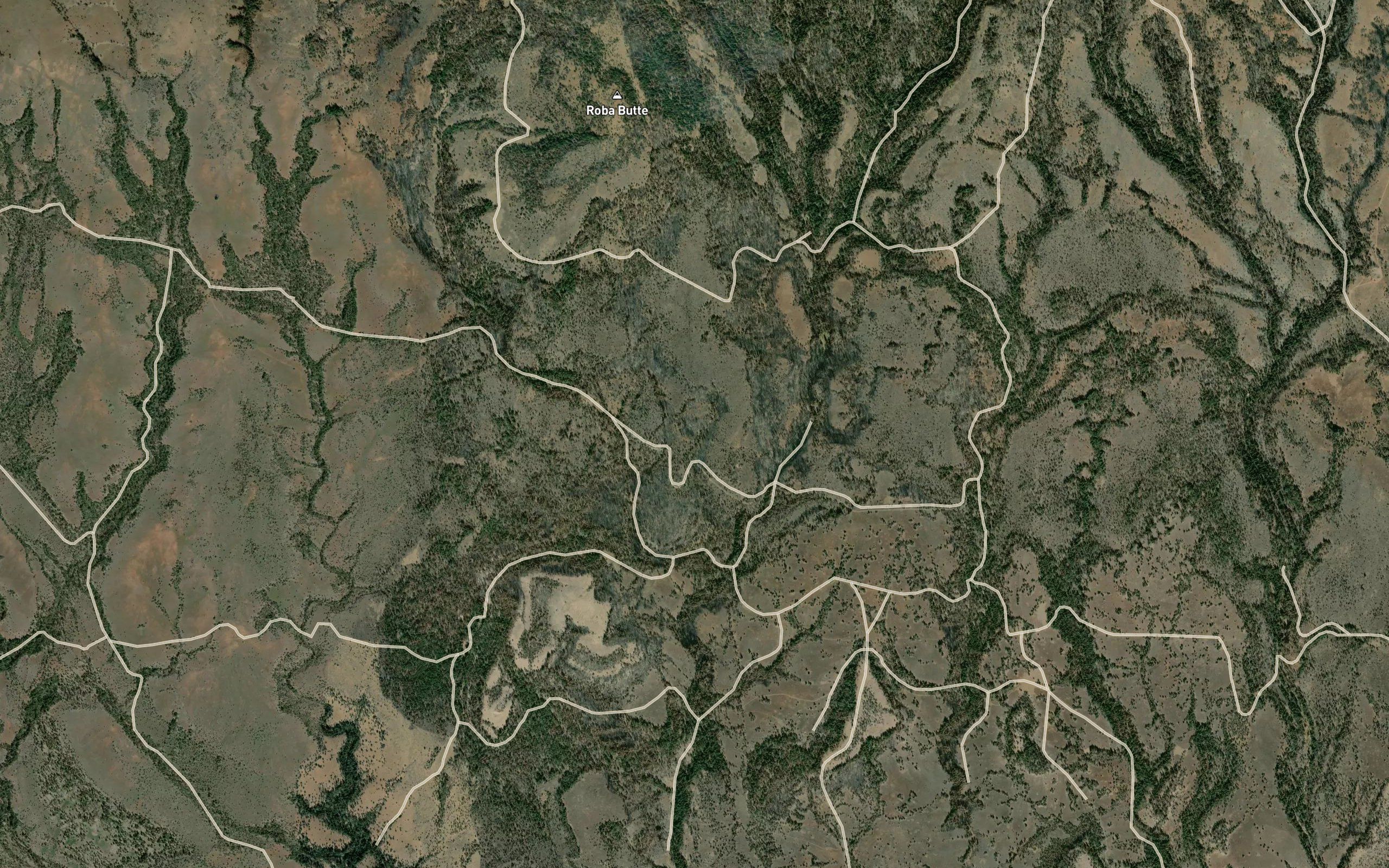 Wasp Reservoir