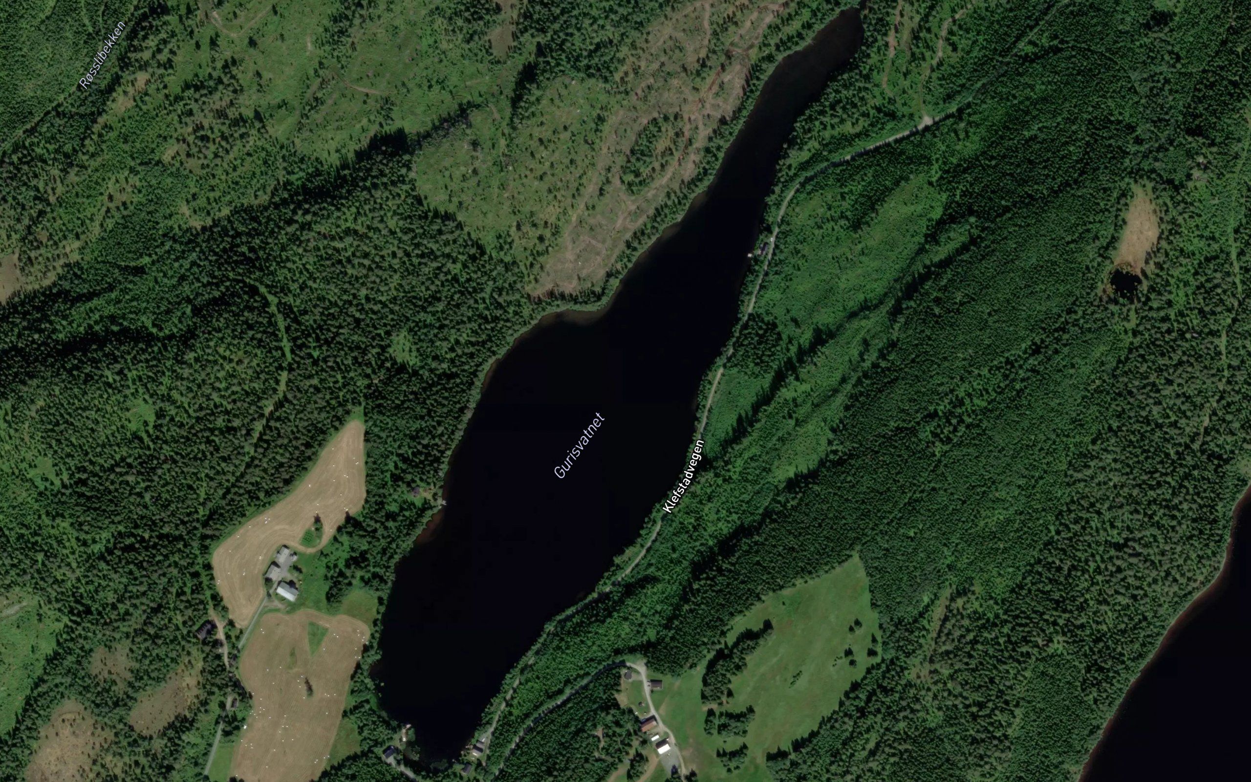 Gurisvatnet