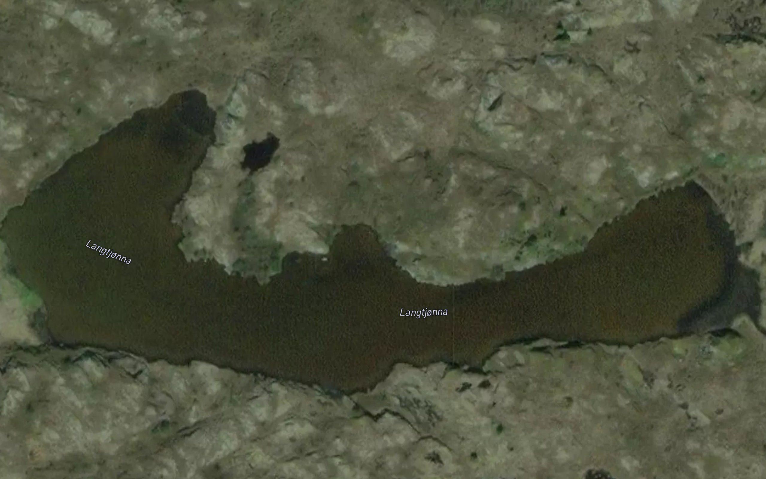 Langtjonna