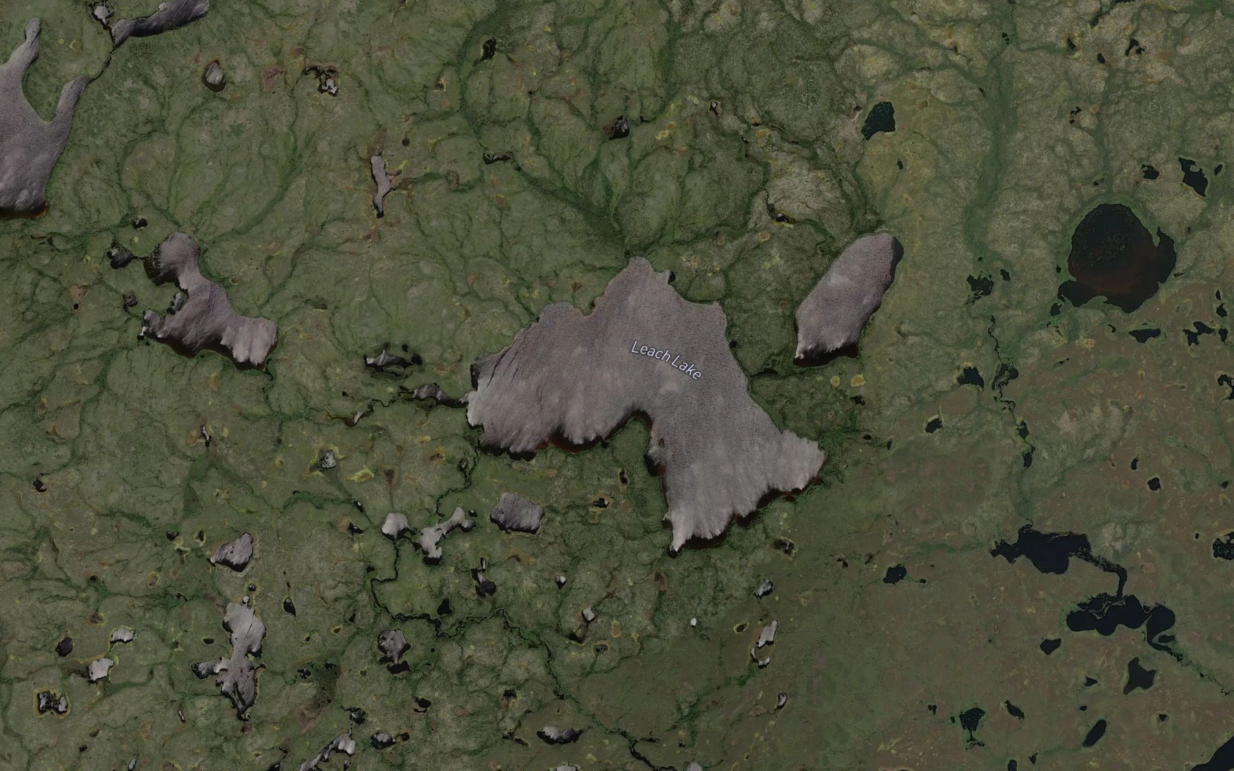 Satellite map of the Leach Lake
