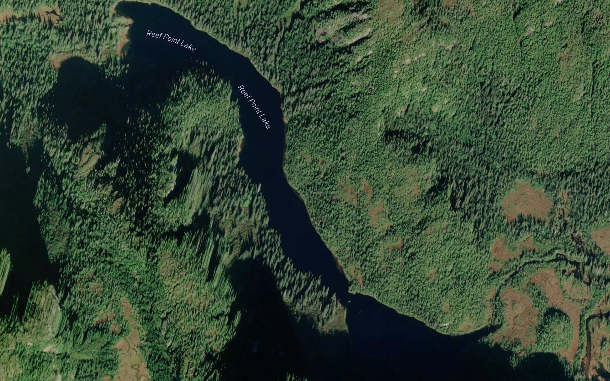 Reef Point Lake