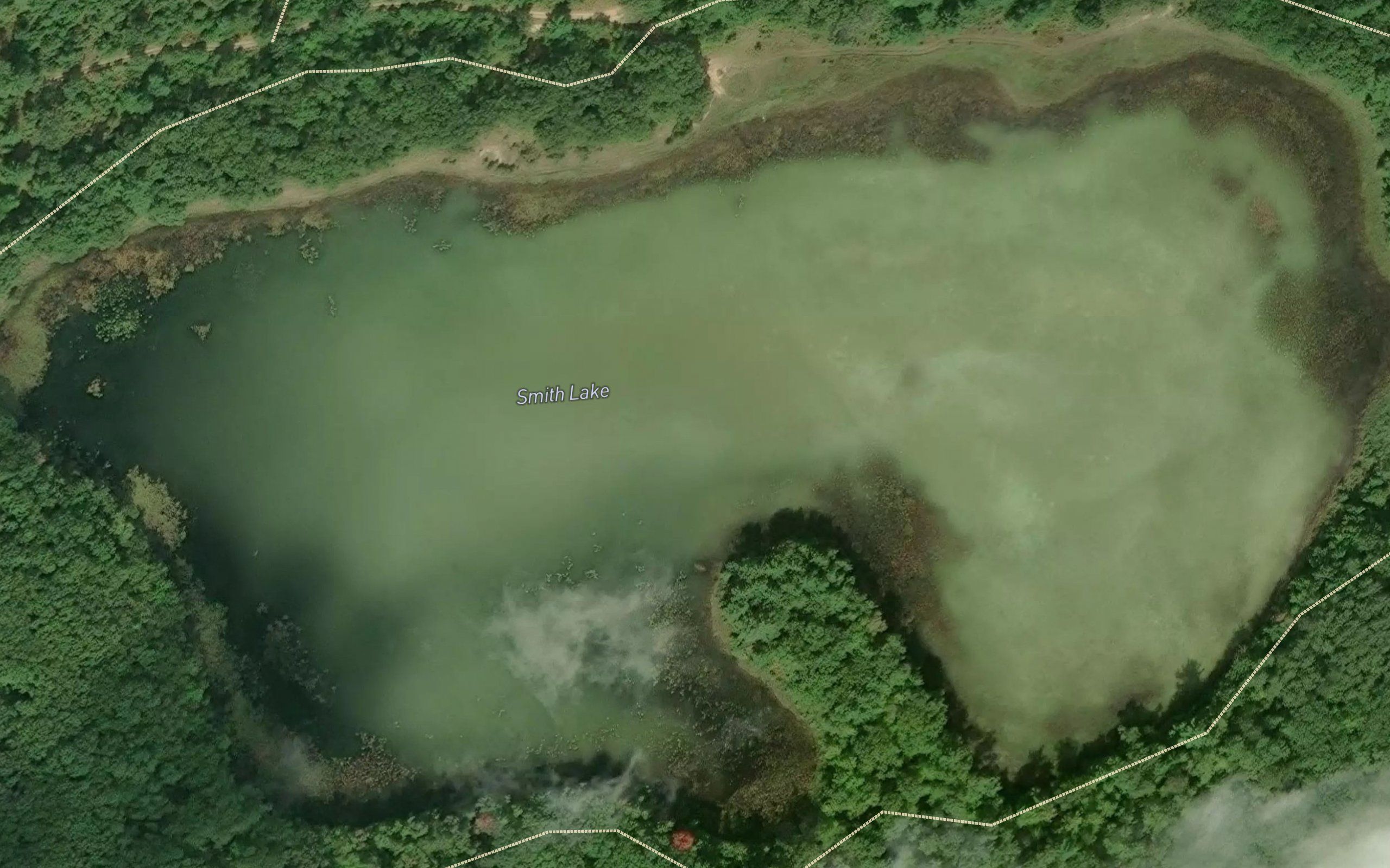 Smith Lake