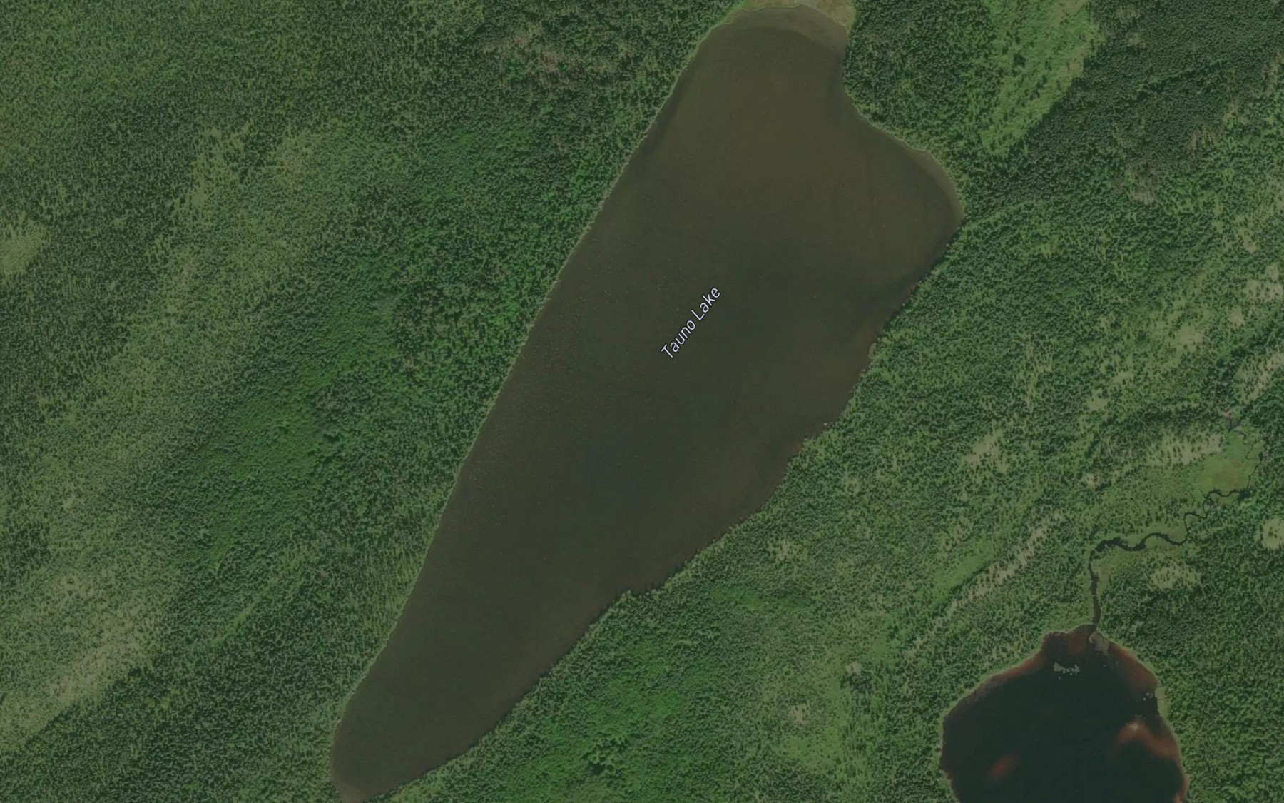 Satellite map of the Tauno Lake