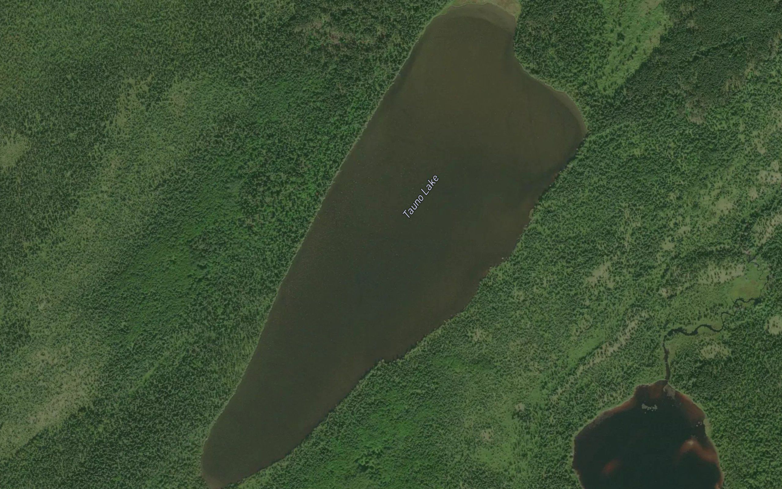 Tauno Lake