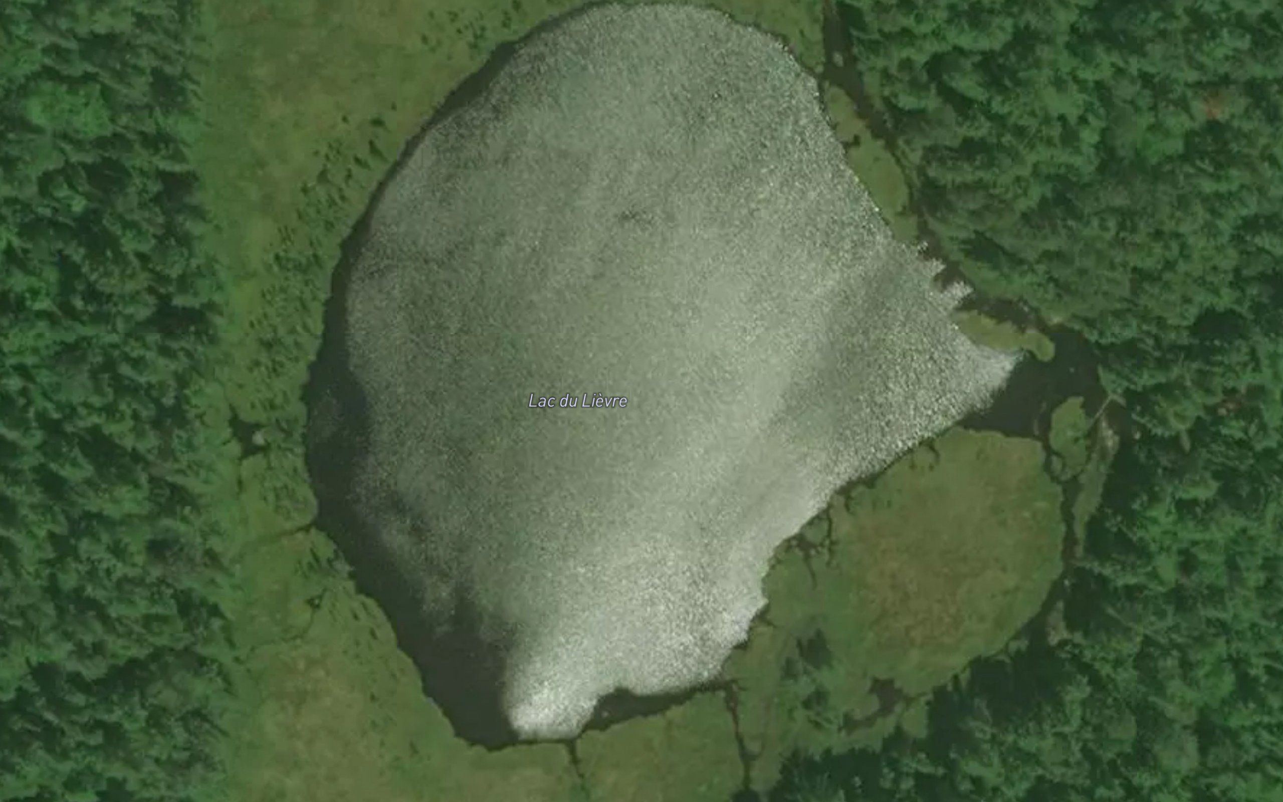 Lac du Lievre