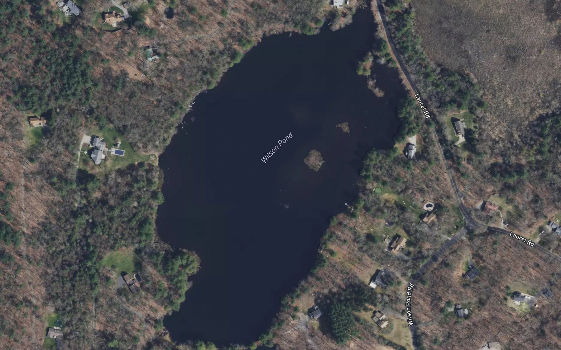 Satellite map of the Wilson Pond