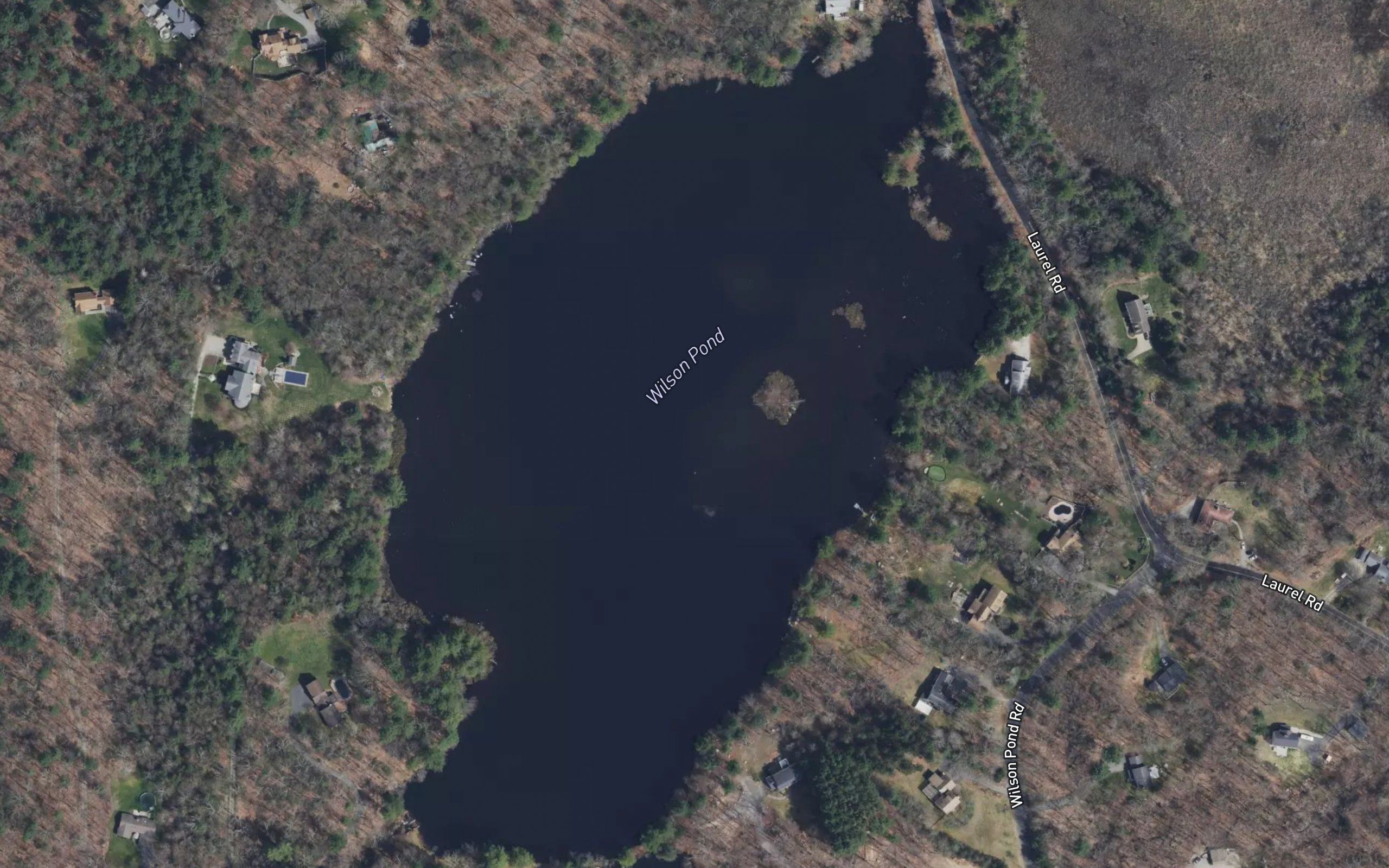 Wilson Pond