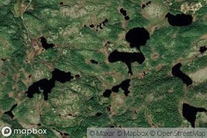 Wild Pond