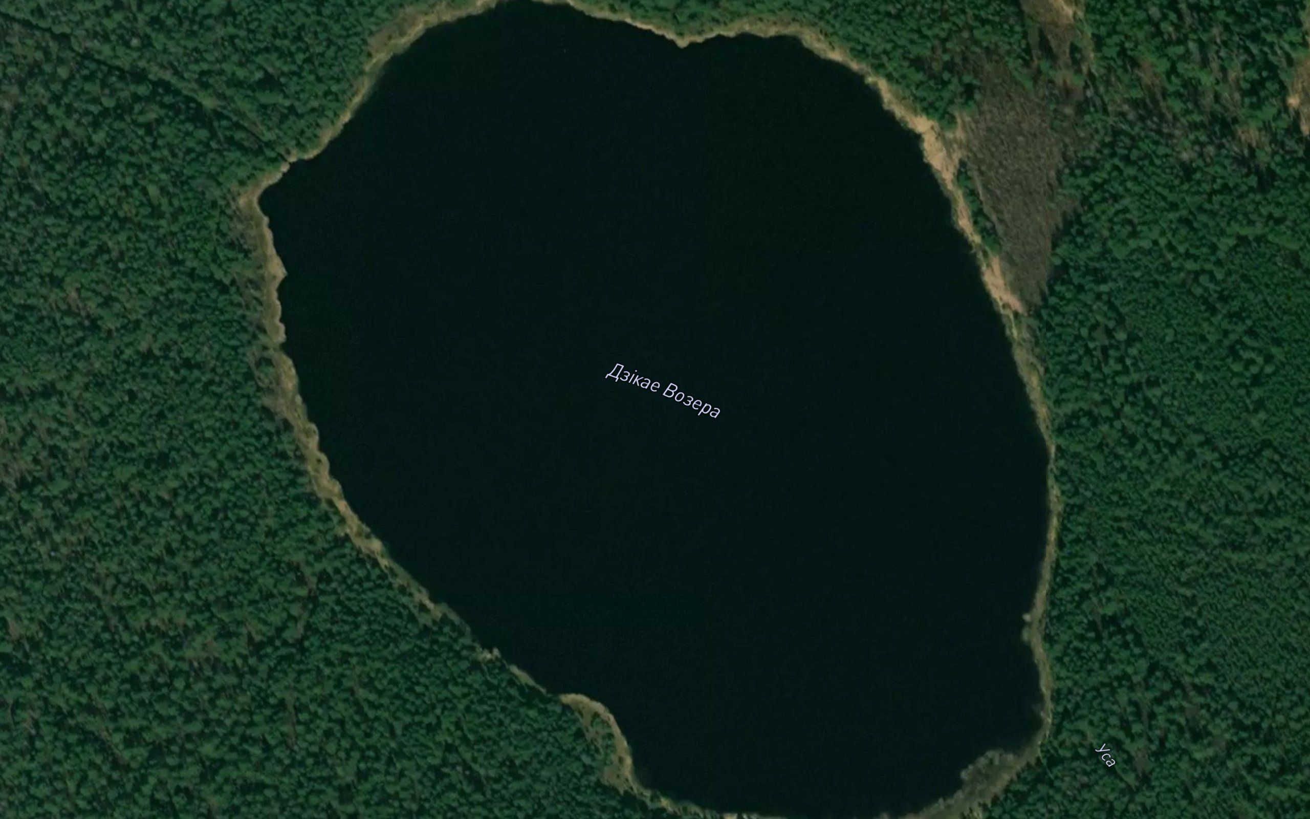 Ozero Dikoye