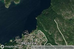 Oksnevika