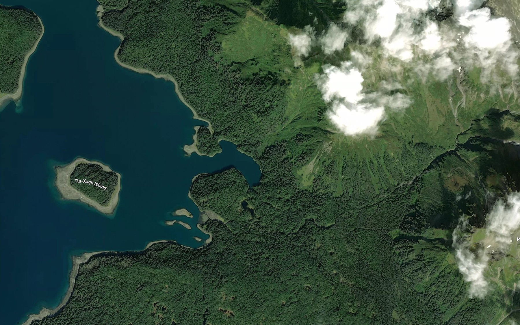 Satellite map of the Chicago Harbor