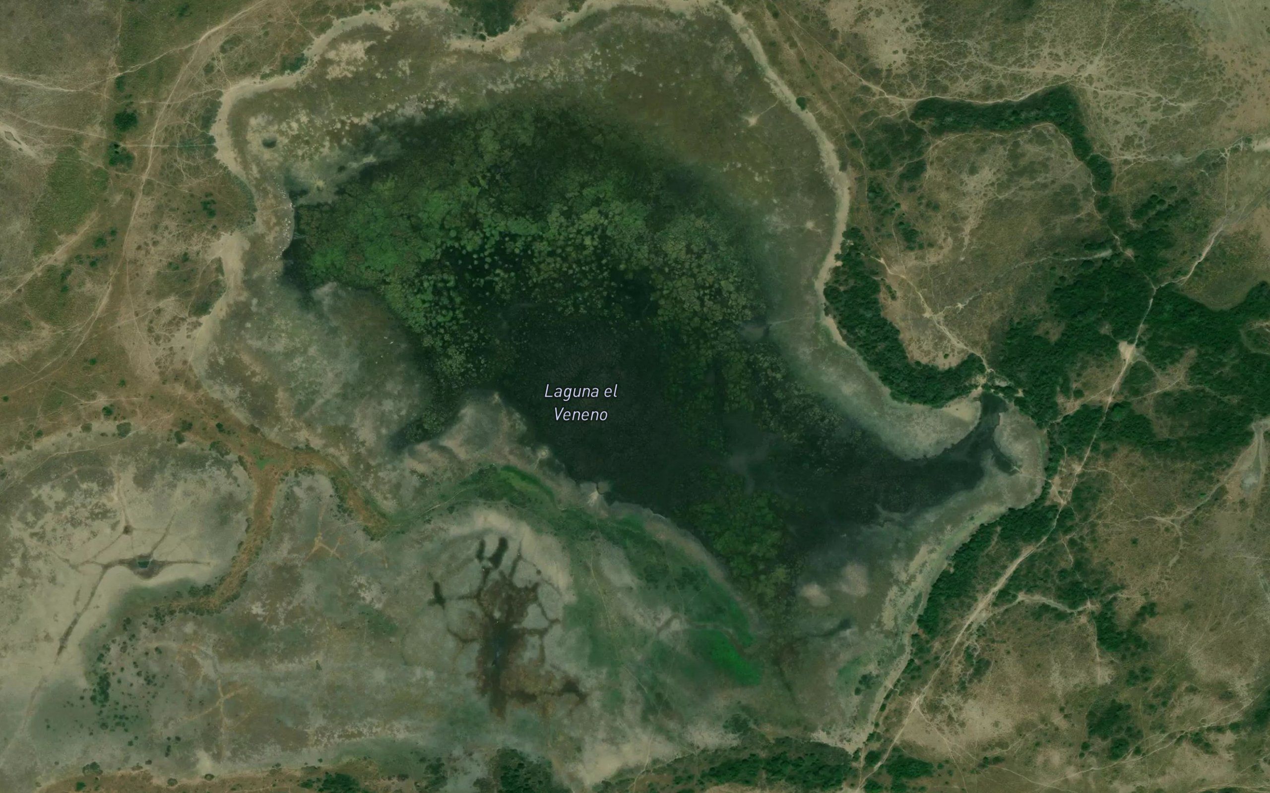 Laguna Venero