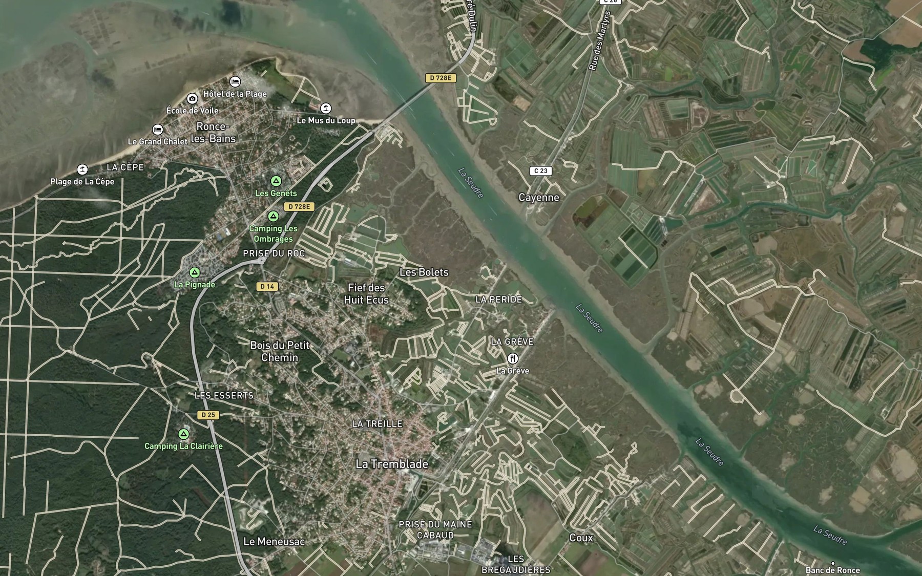 Satellite map of the Chenal de Marennes