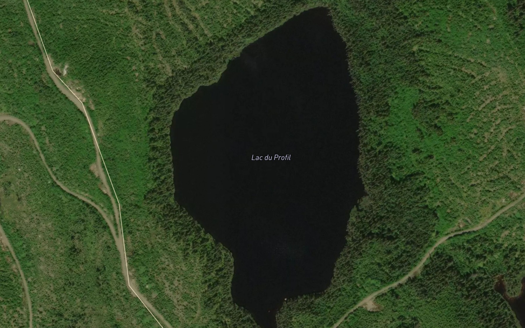 Satellite map of the Lac du Profil
