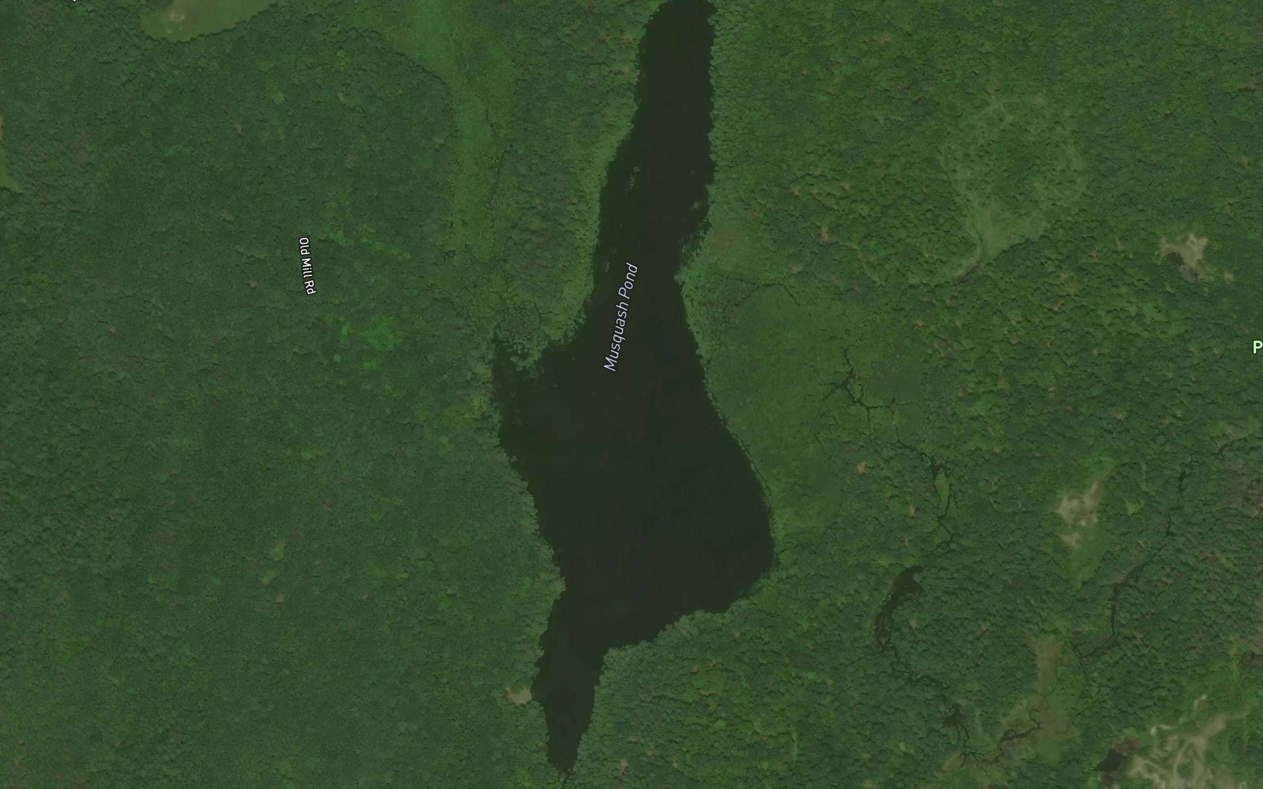 Musquash Pond