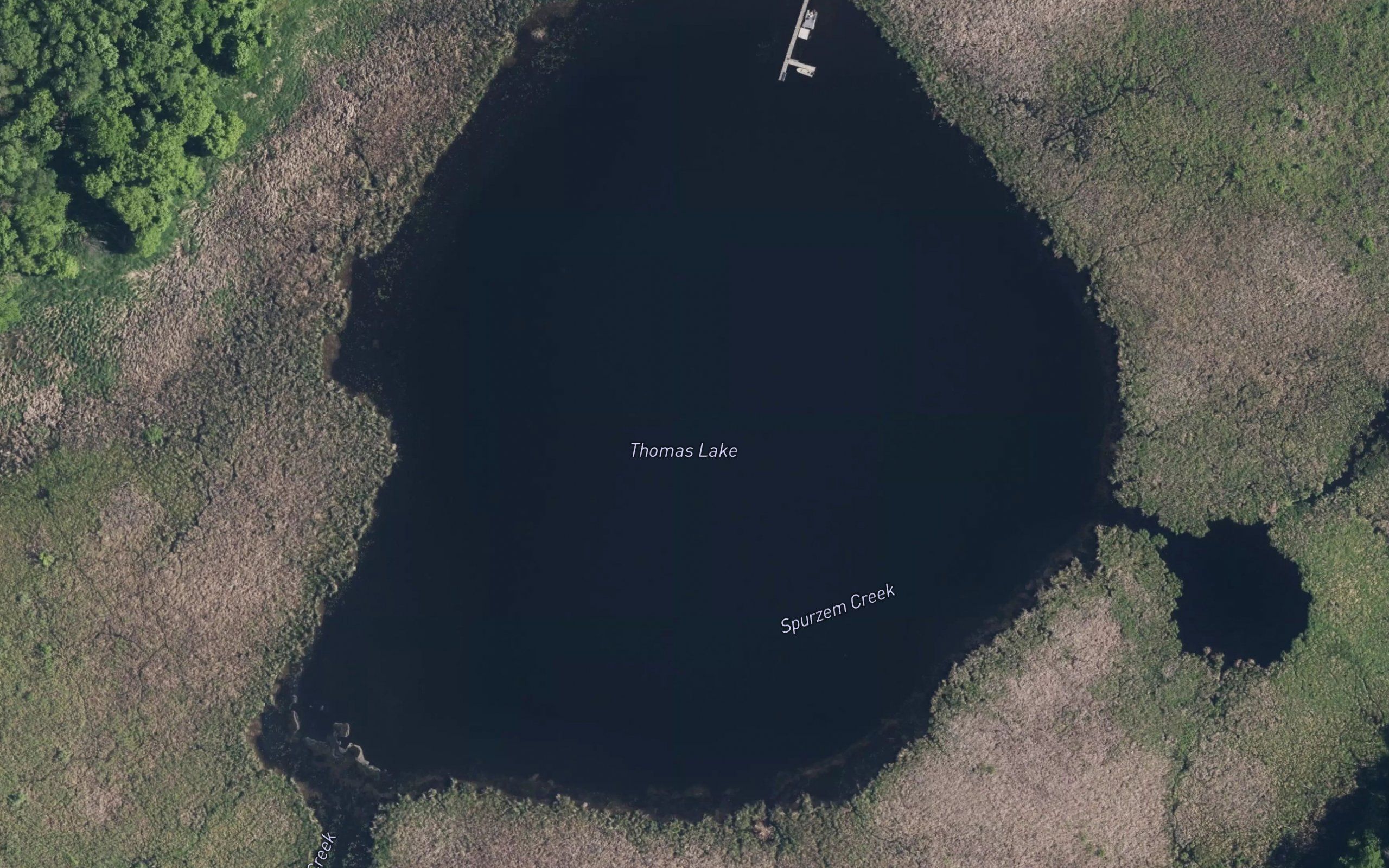 Thomas Lake
