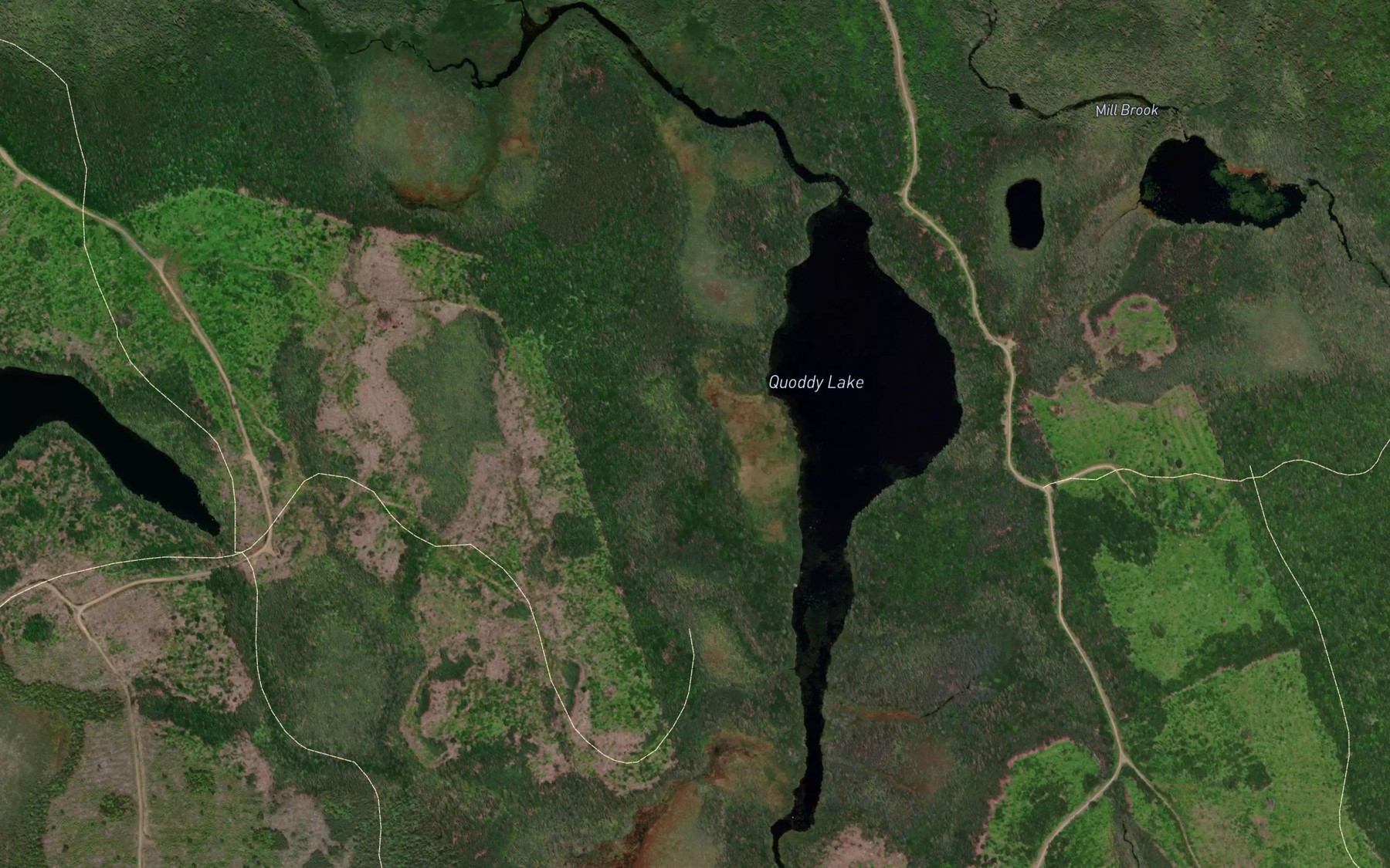 Satellite map of the Quoddy Lake