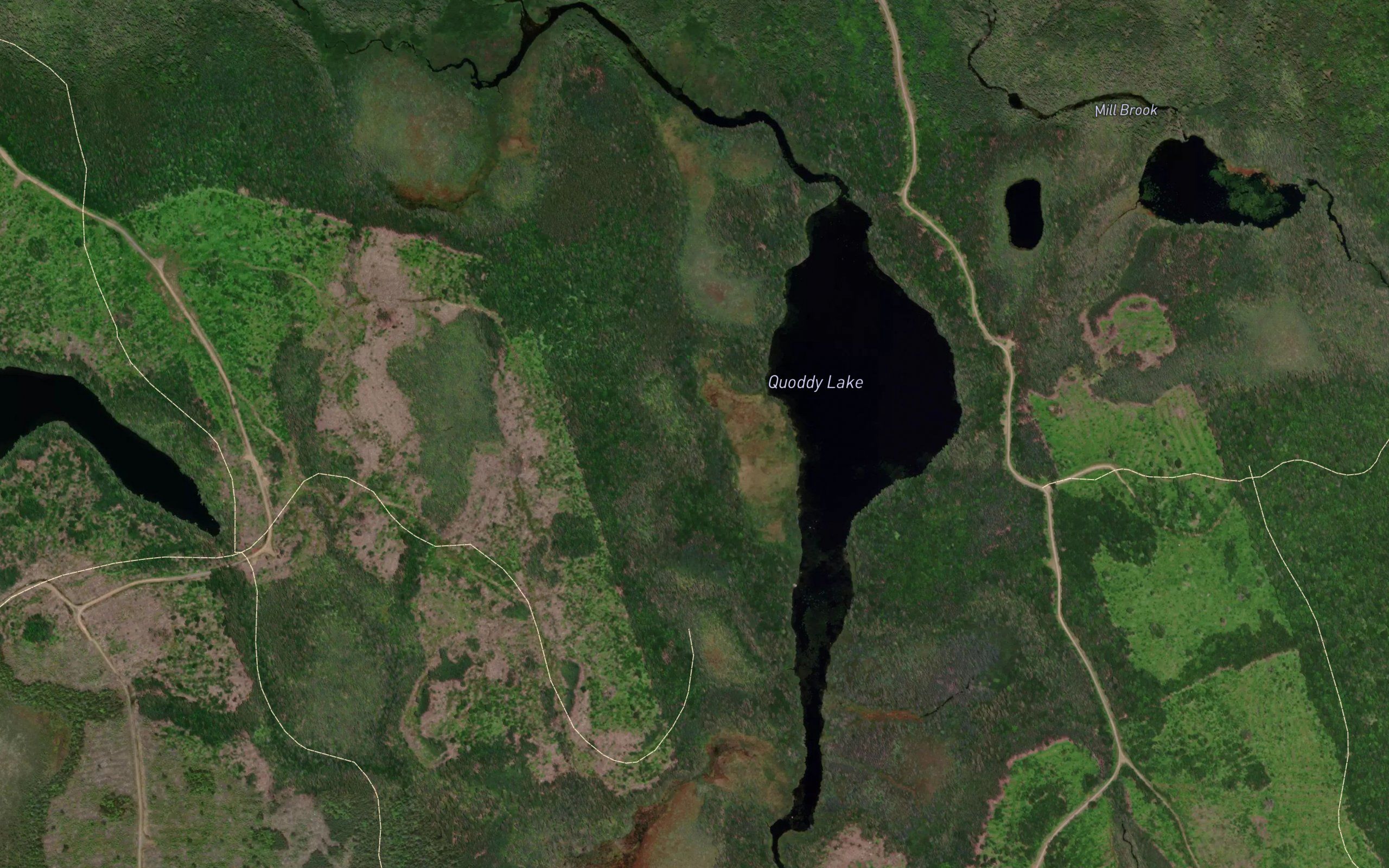 Quoddy Lake