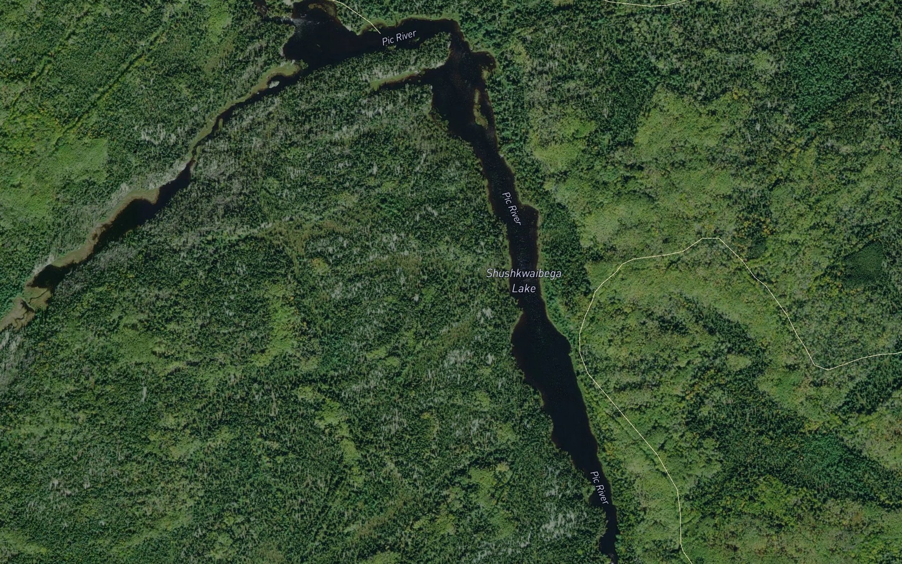 Satellite map of the Shushkwaibega Lake