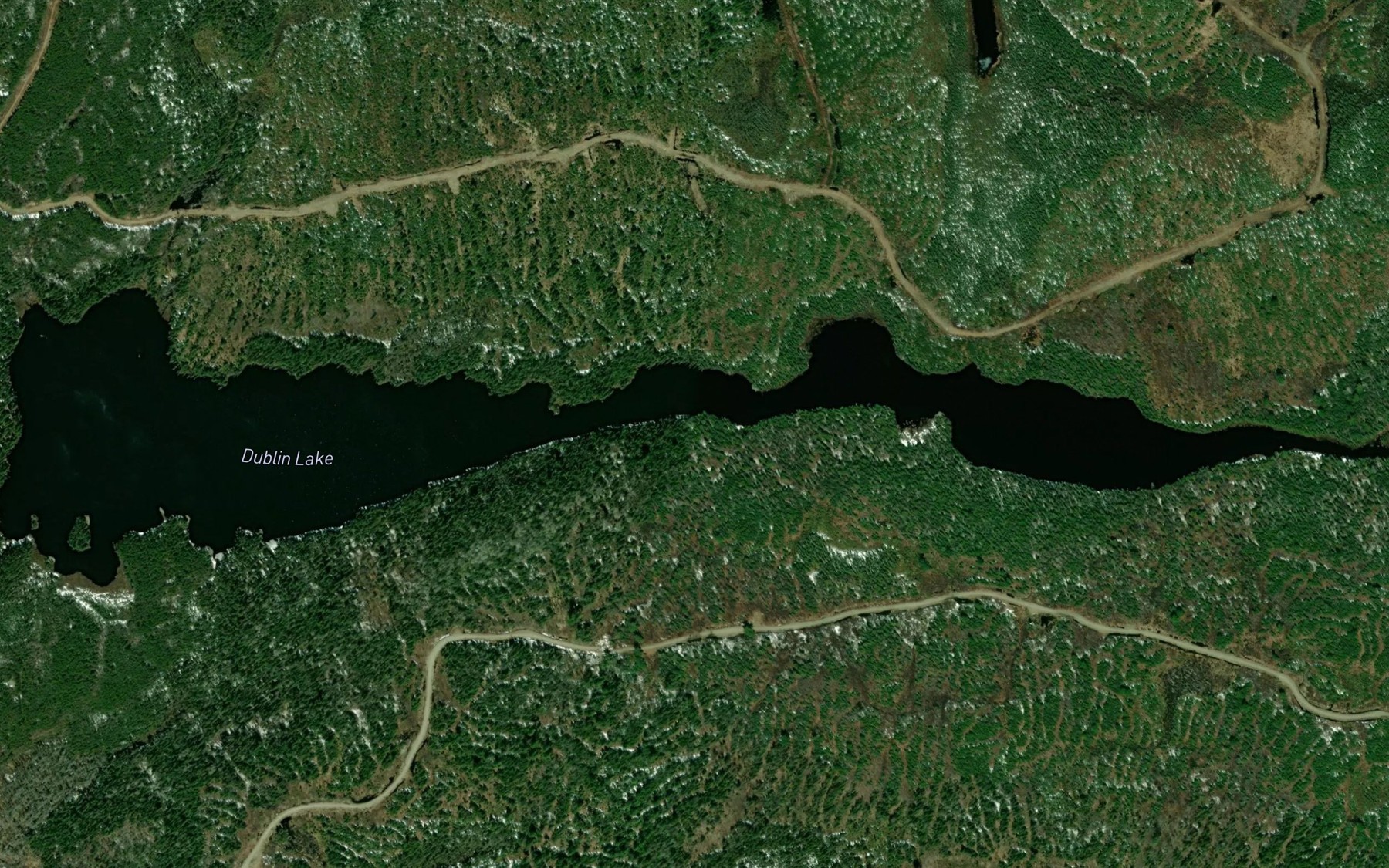 Satellite map of the Dublin Lake