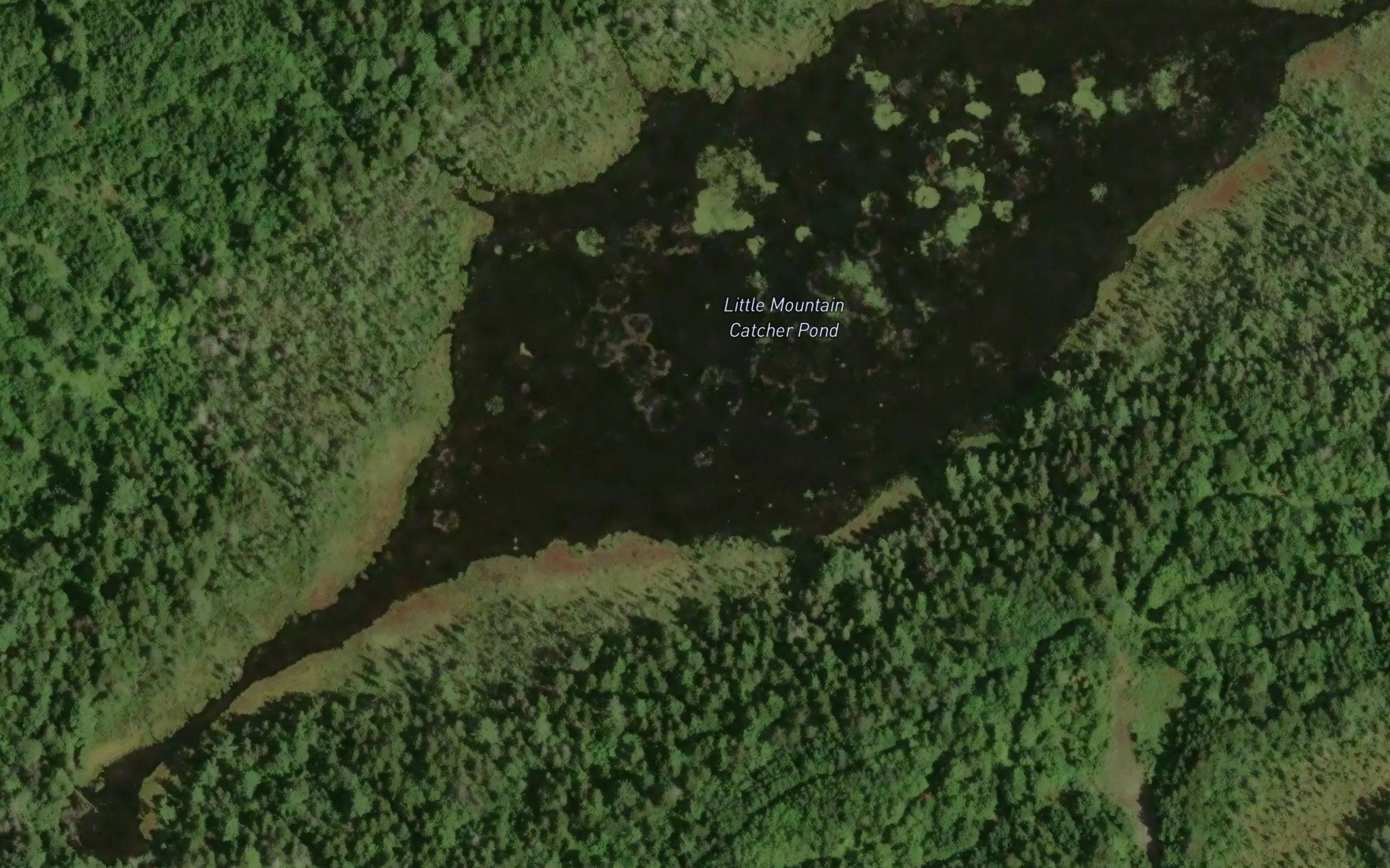 Little Mountain Catcher Pond
