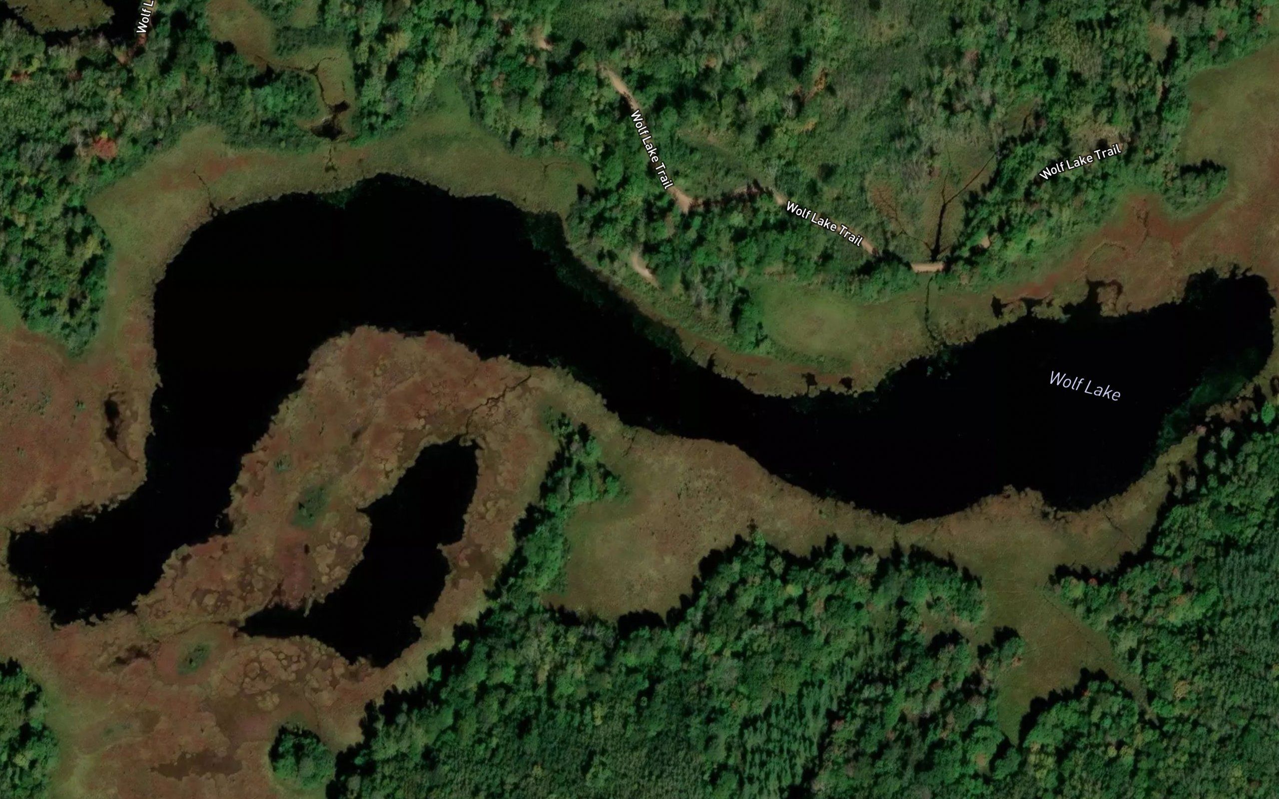 Wolf Lake