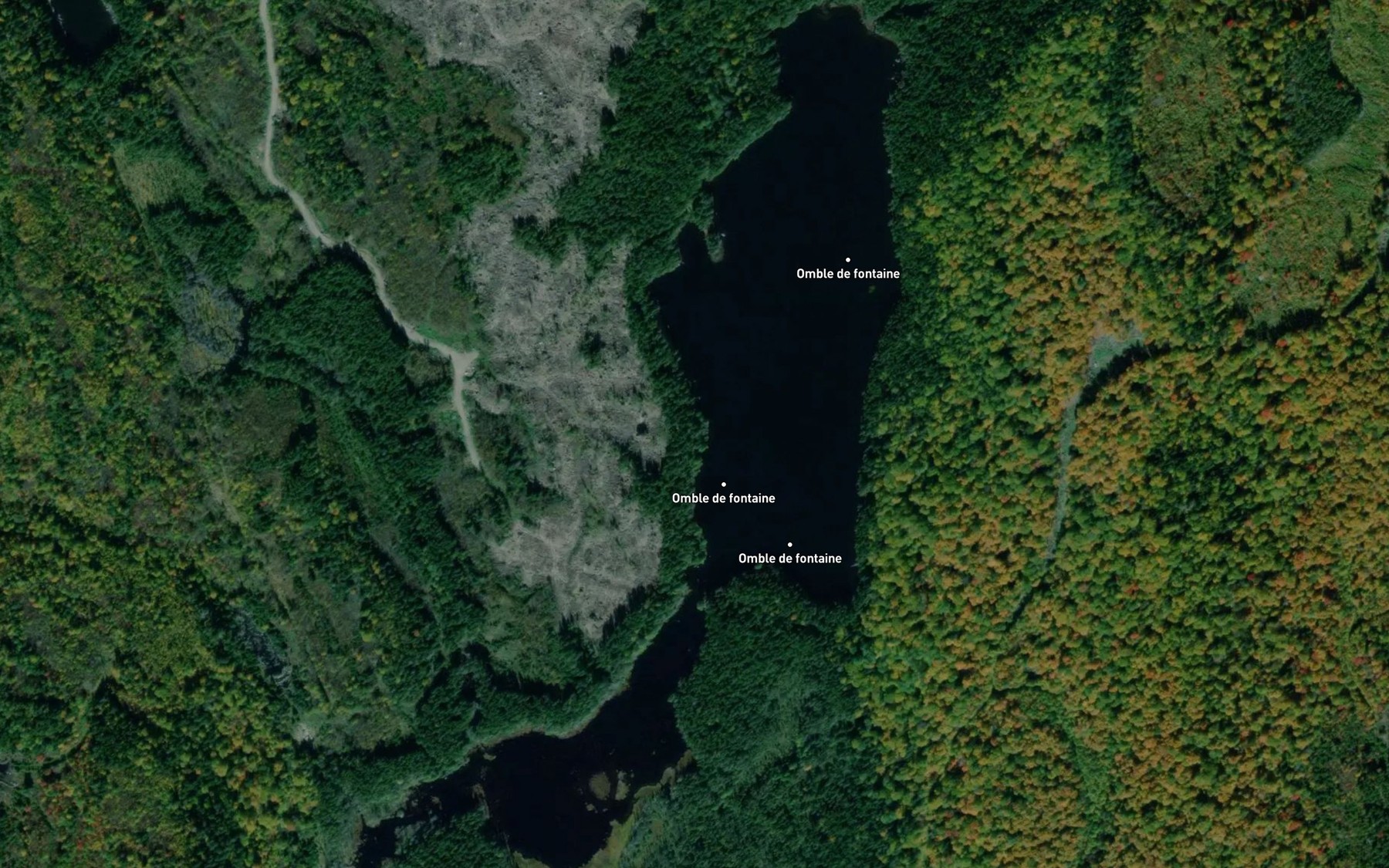 Satellite map of the Lac du Pont de Bois