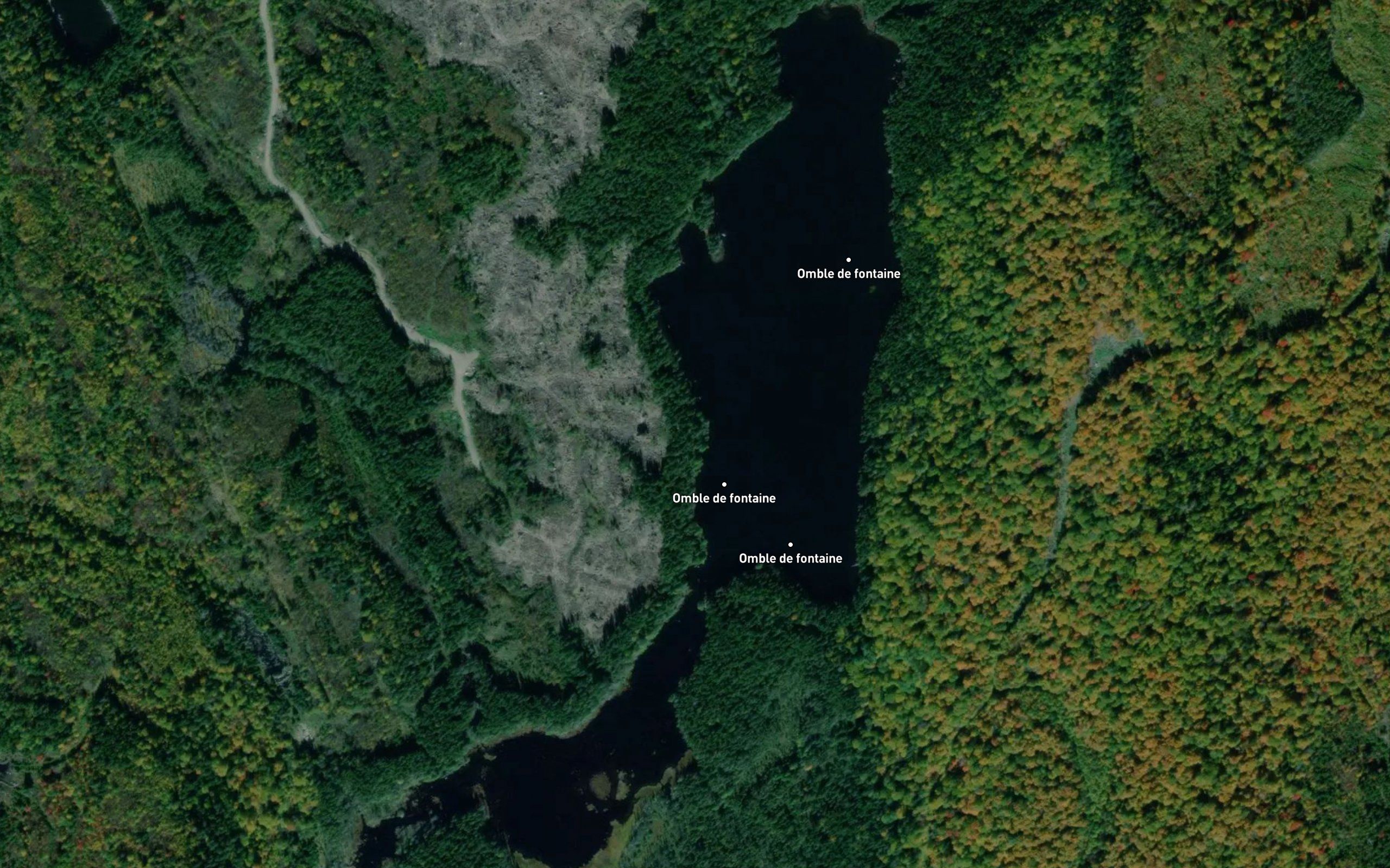 Lac du Pont de Bois