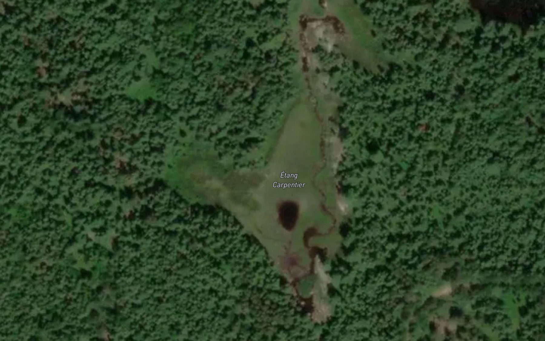 Satellite map of the Etang Carpentier